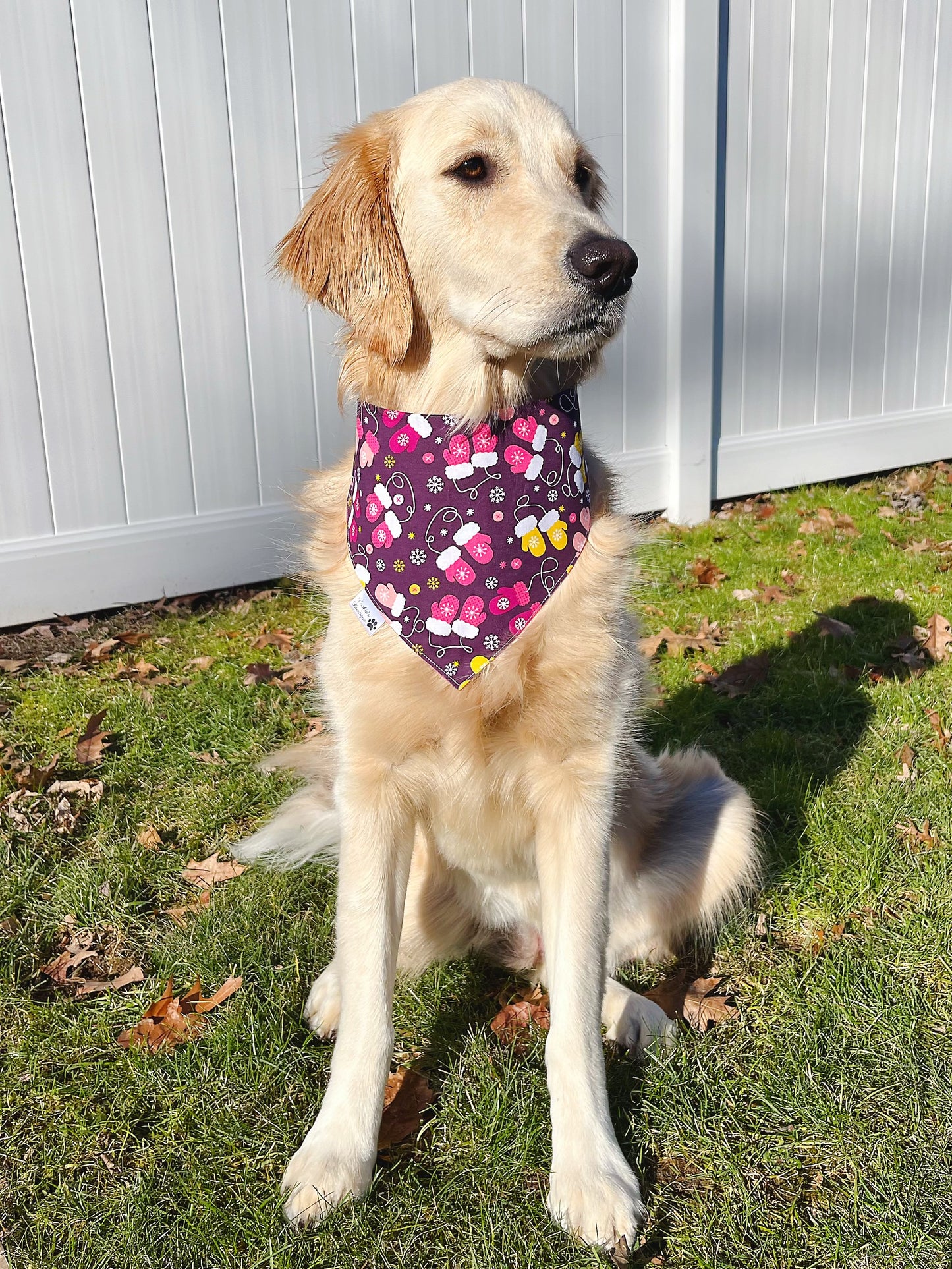 Cozy Winter Bandana