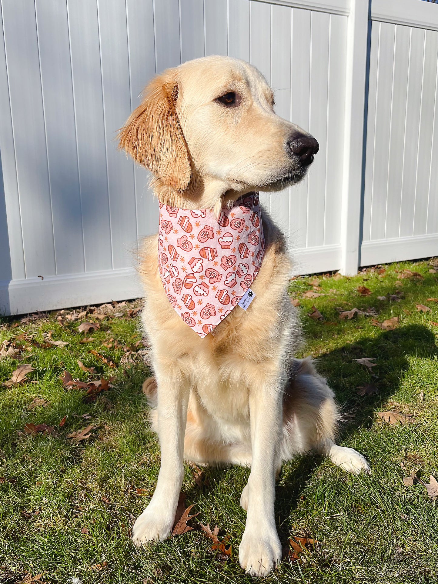Winter Mittens And Hats Bandana