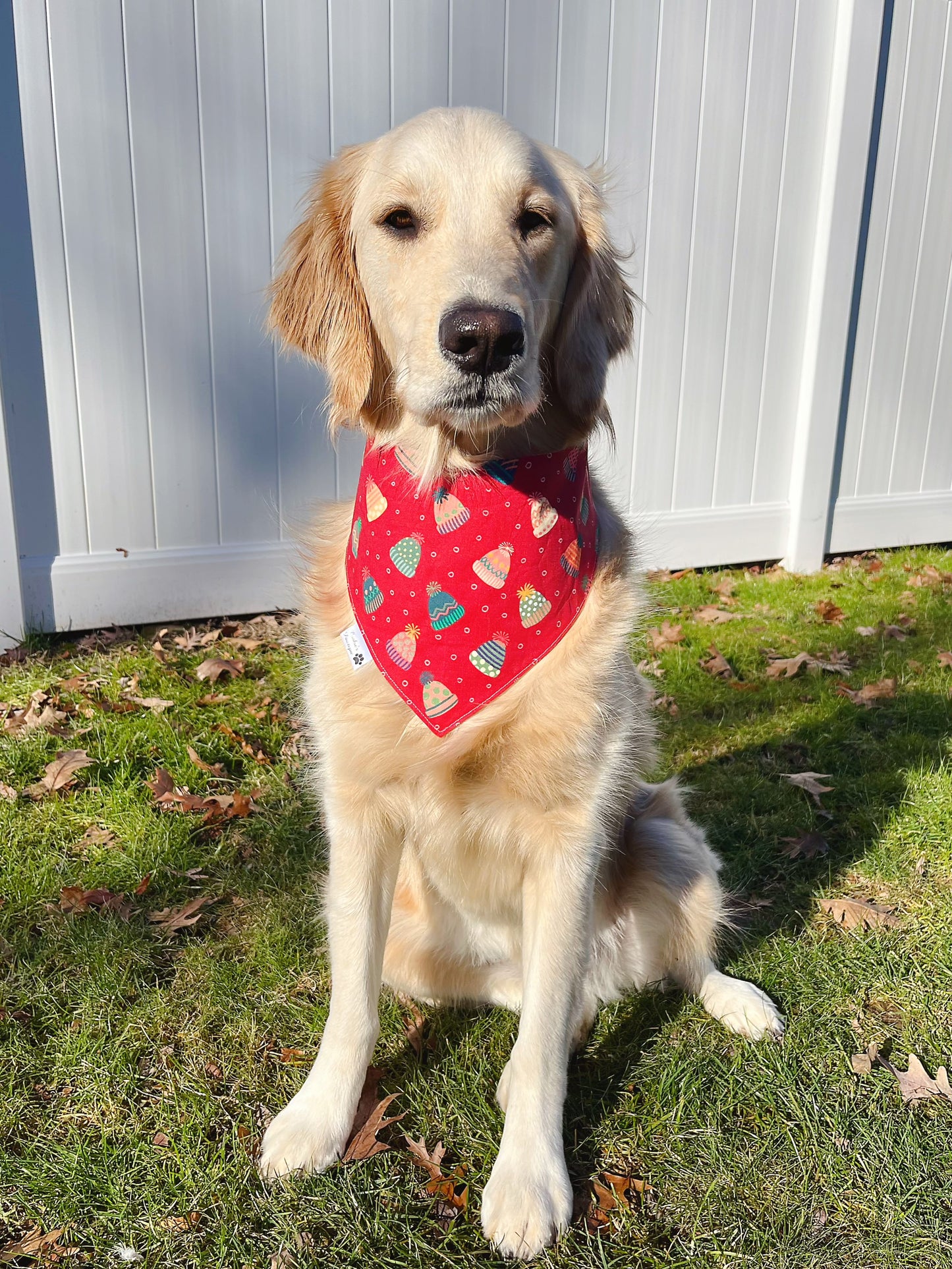 Winter Mittens And Hats Bandana