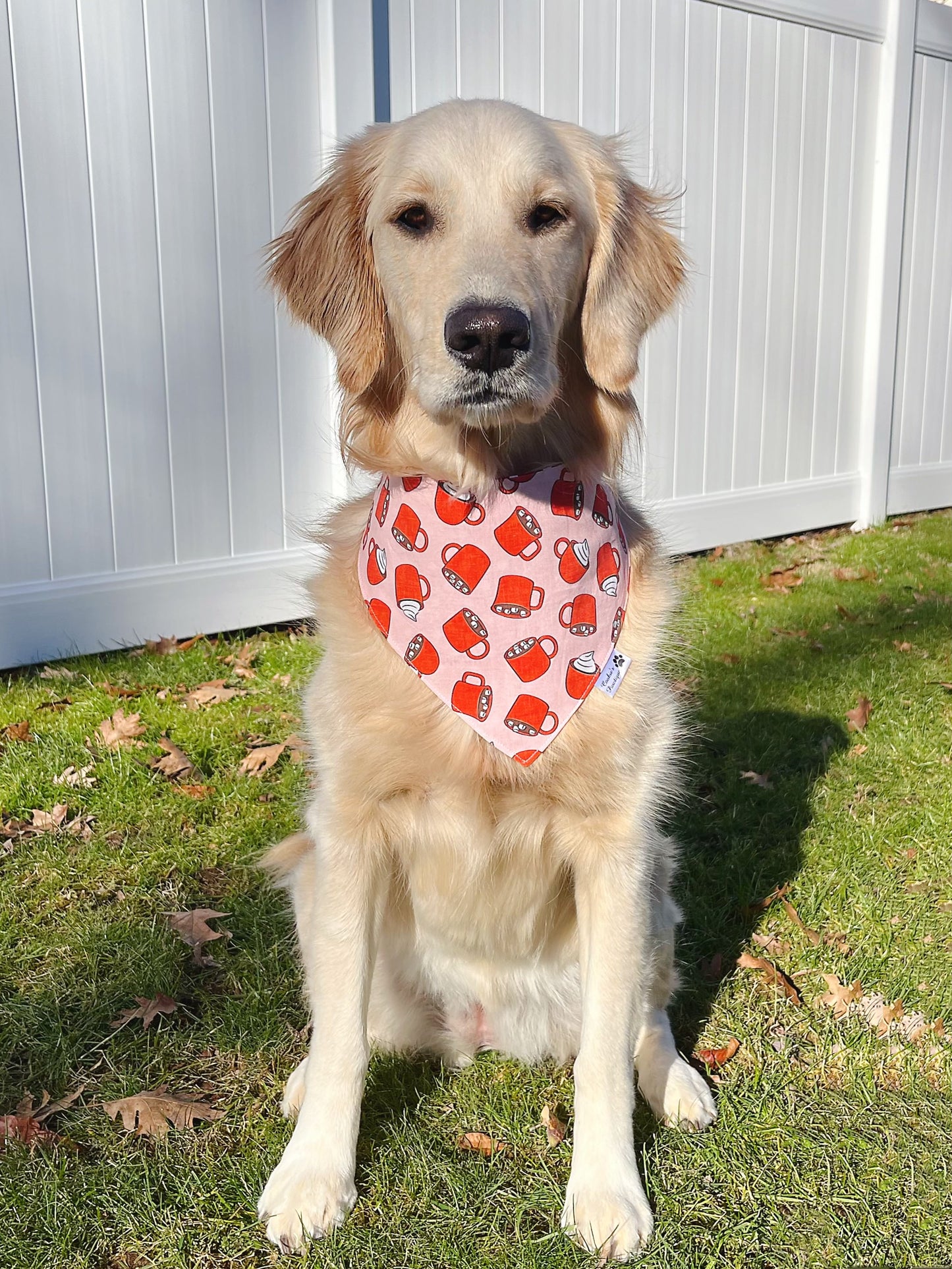 Hot Cocoa Bandana