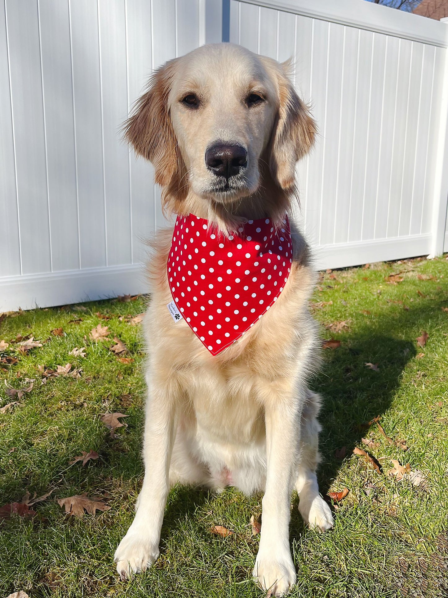 Hot Cocoa Bandana