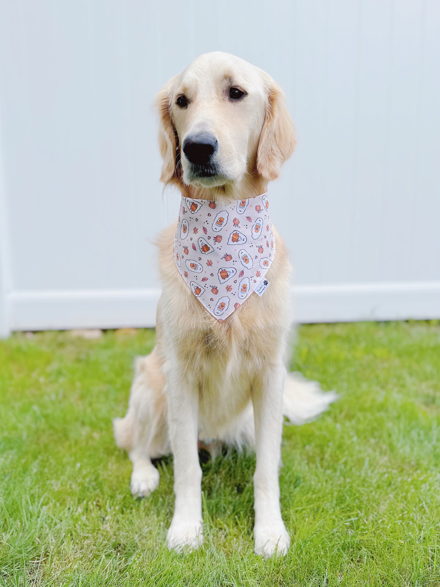 Pumpkin Spice Ghosts Bandana