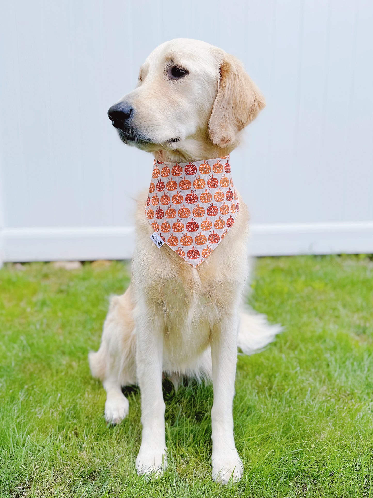 Pumpkin Spice Ghosts Bandana