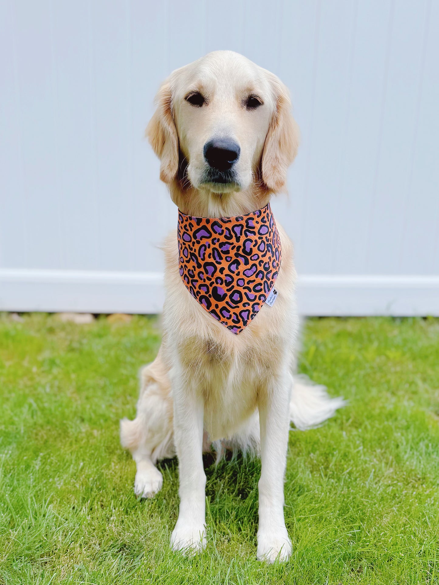 Halloween Leopard And Pumpkins Bandana