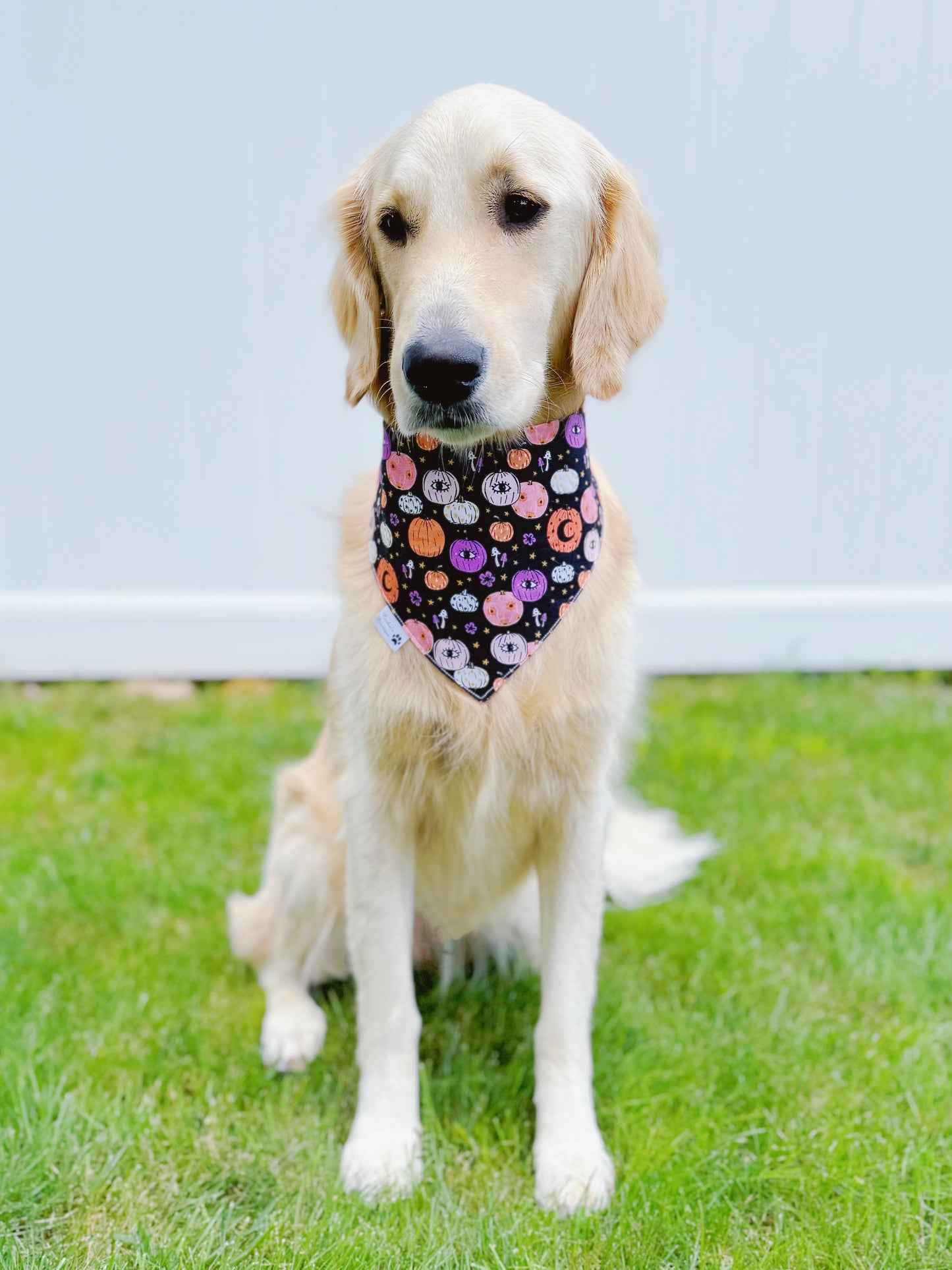 Halloween Leopard And Pumpkins Bandana