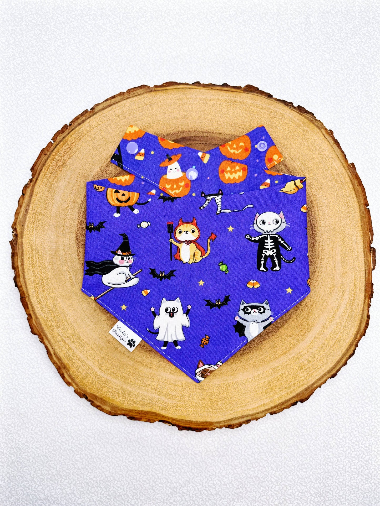 Halloween Cats Bandana
