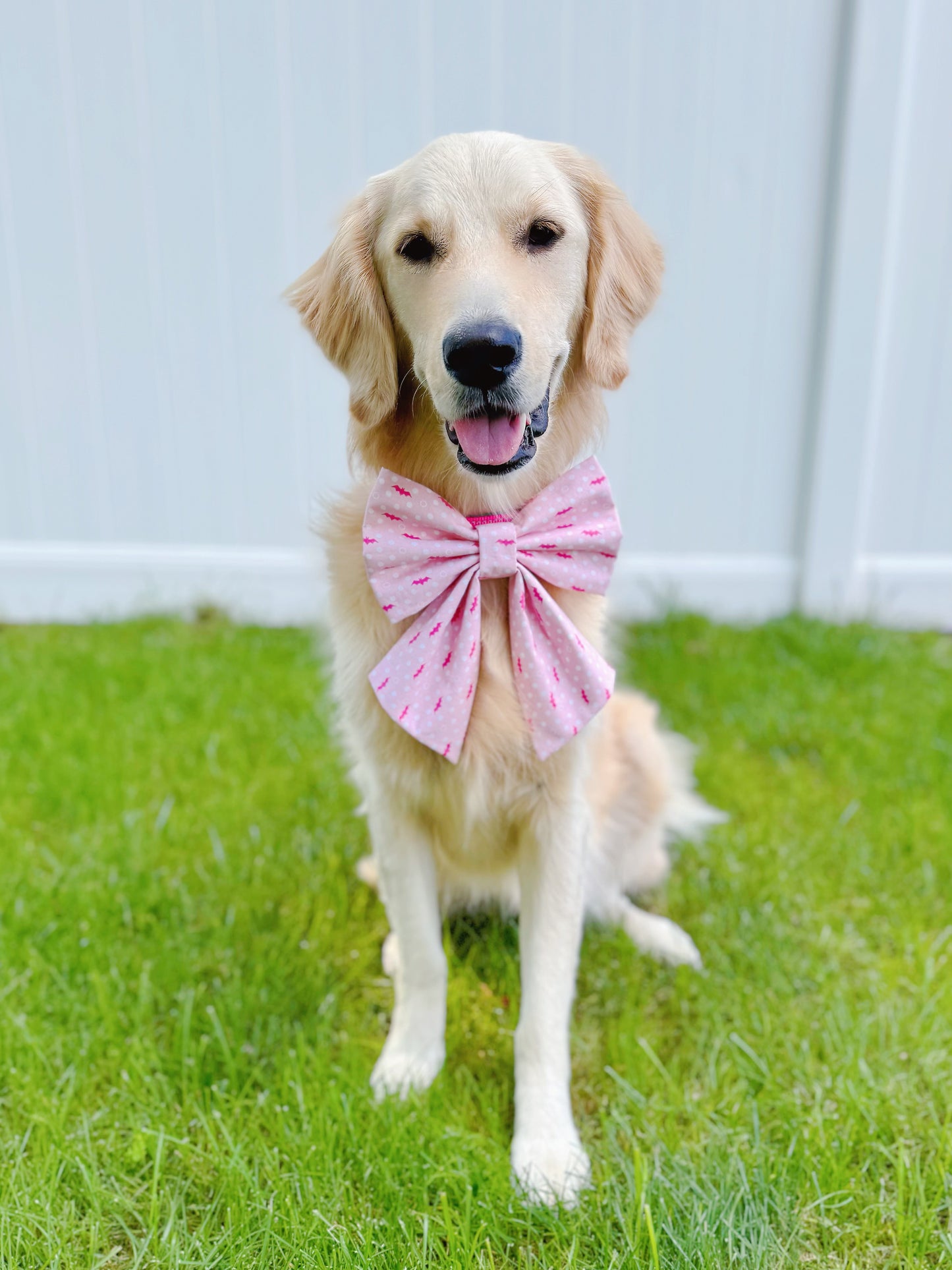 Bats And Dots On Pink Bow