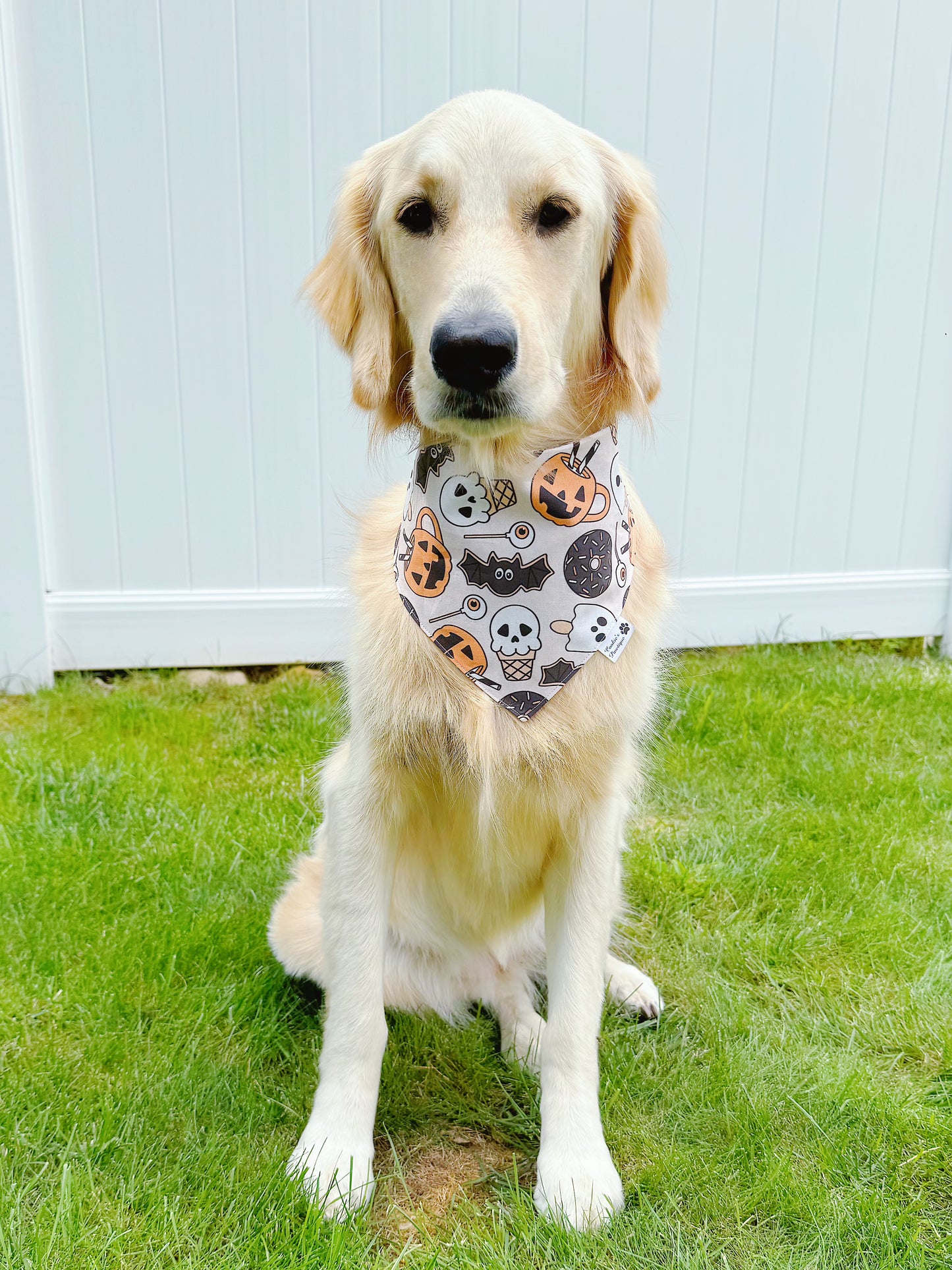 Halloween Treats Bandana