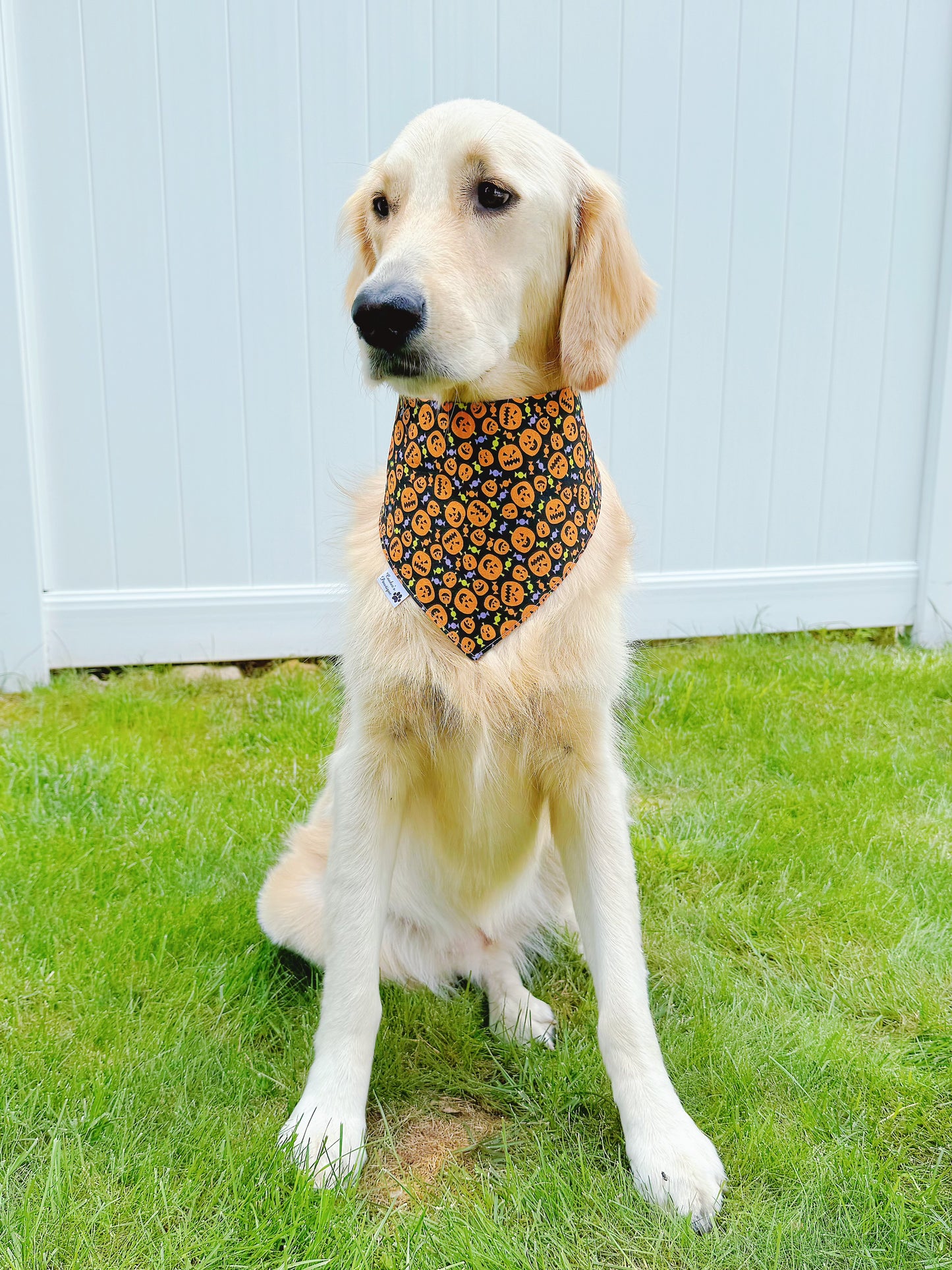 Halloween Treats Bandana