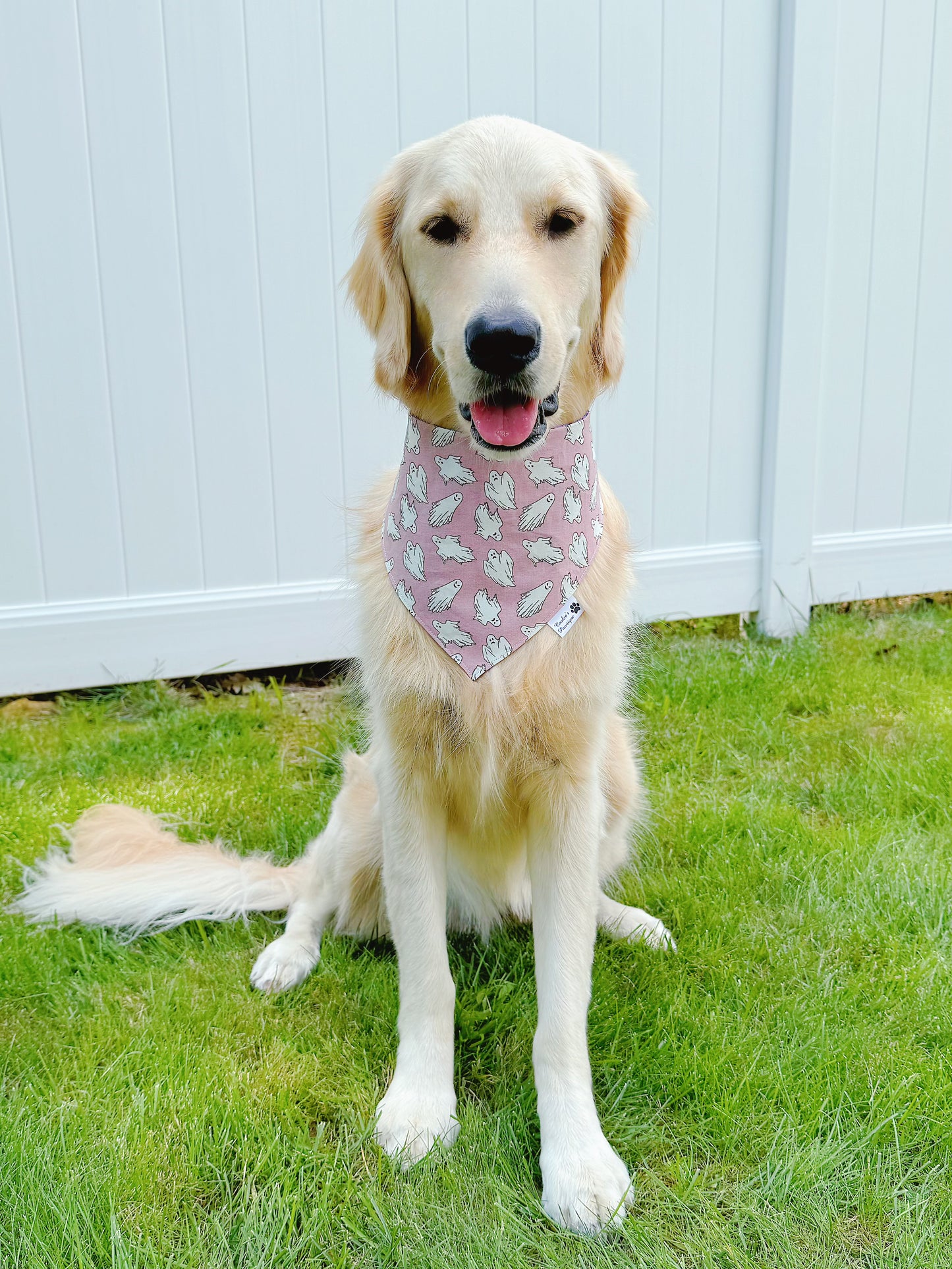 Halloween Ghosts And Spiderwebs Bandana