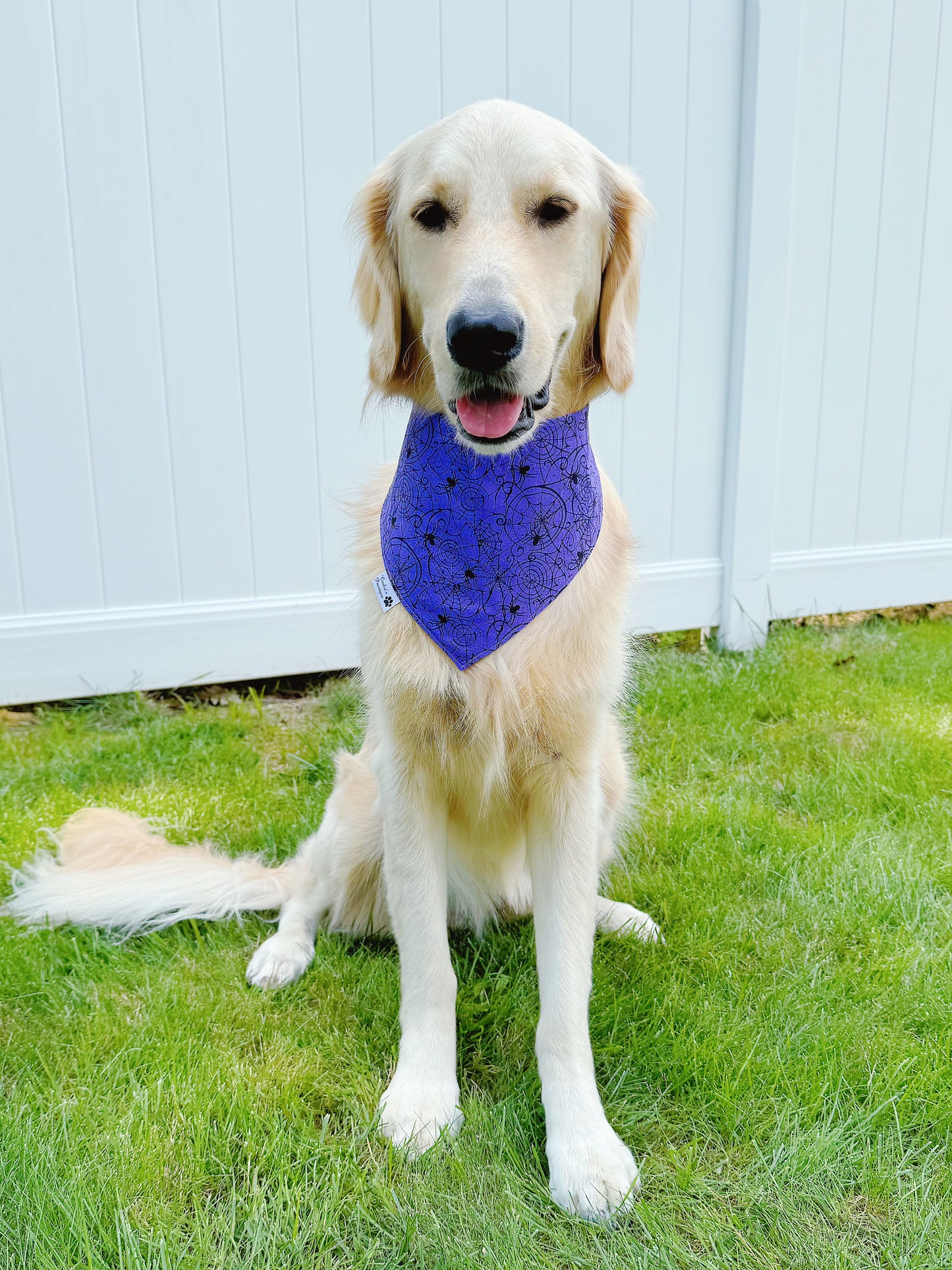 Halloween Ghosts And Spiderwebs Bandana