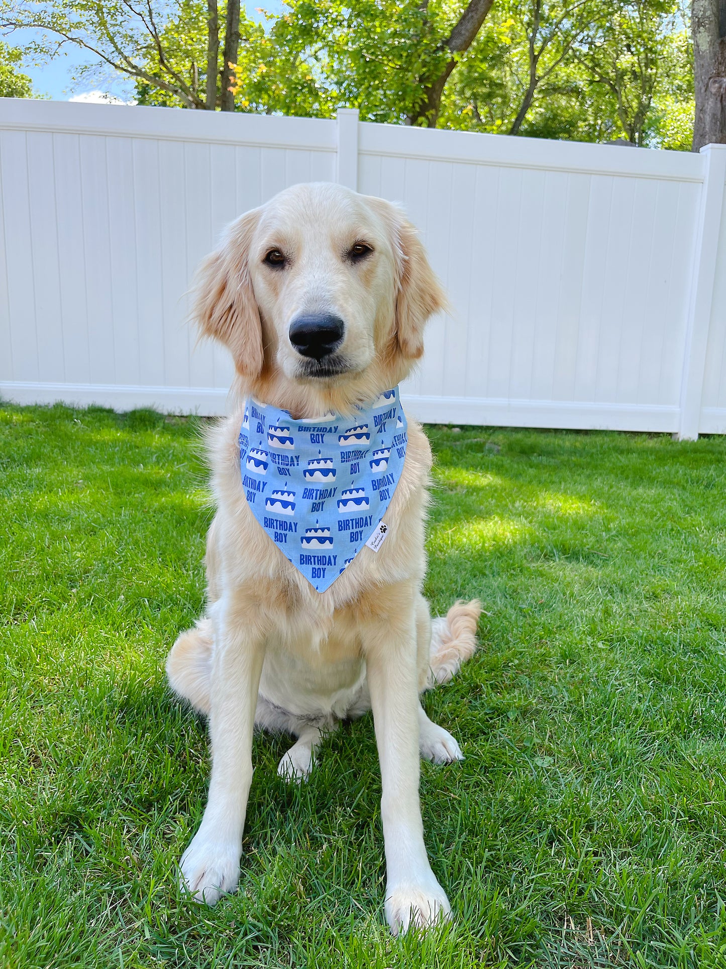 Birthday Boy Bandana - Light Blue