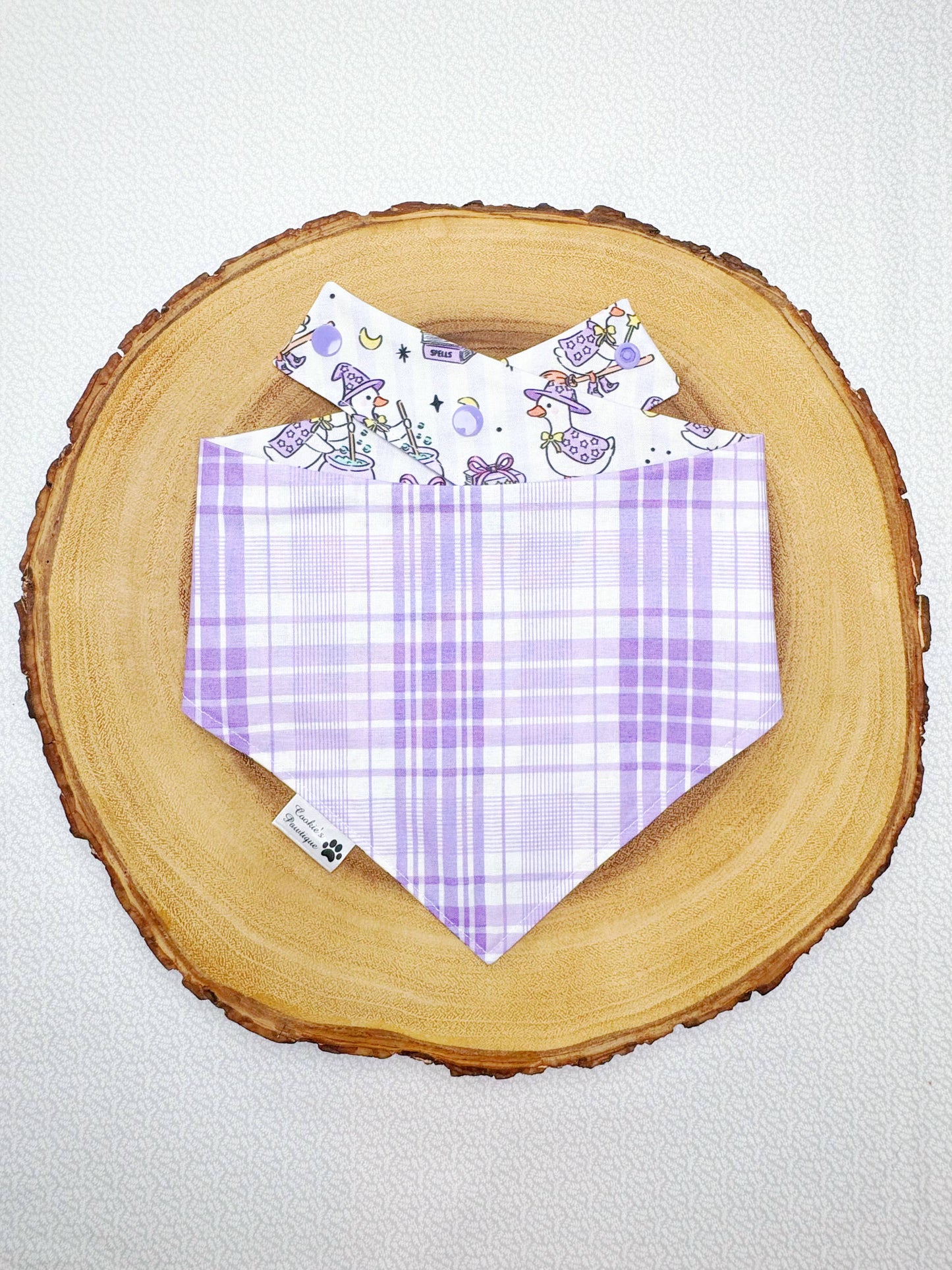 Halloween Witch Goose Bandana
