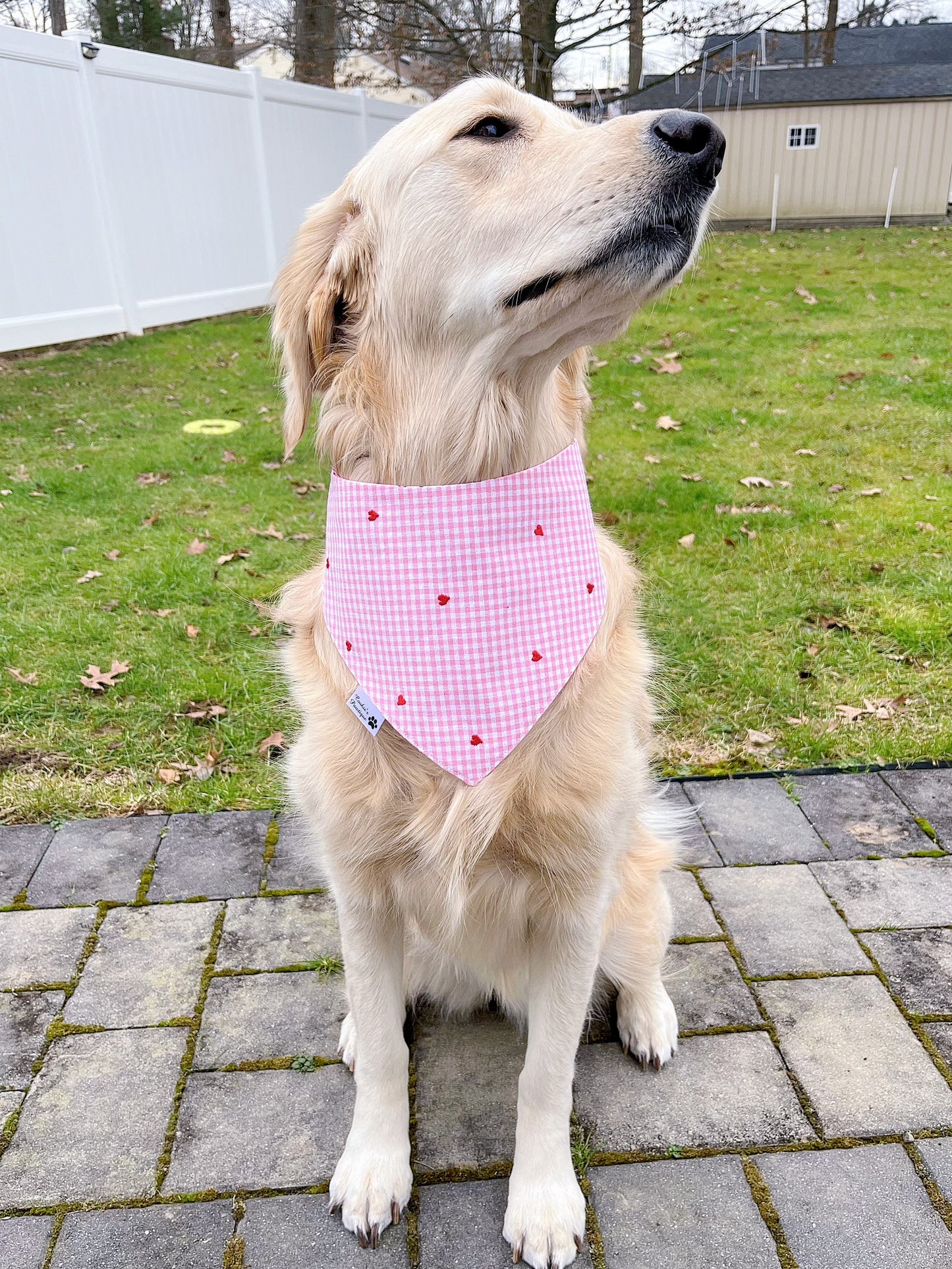 Lollipops And Coffee Bandana