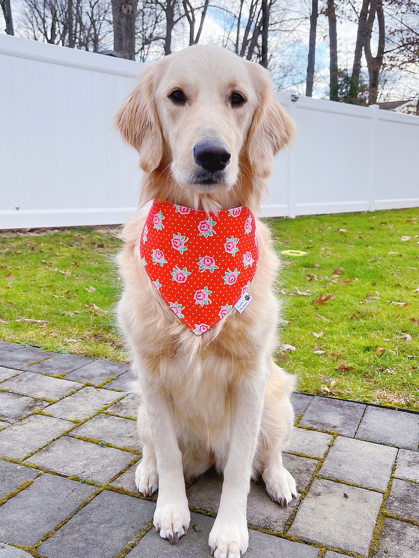 Rose Love Bandana