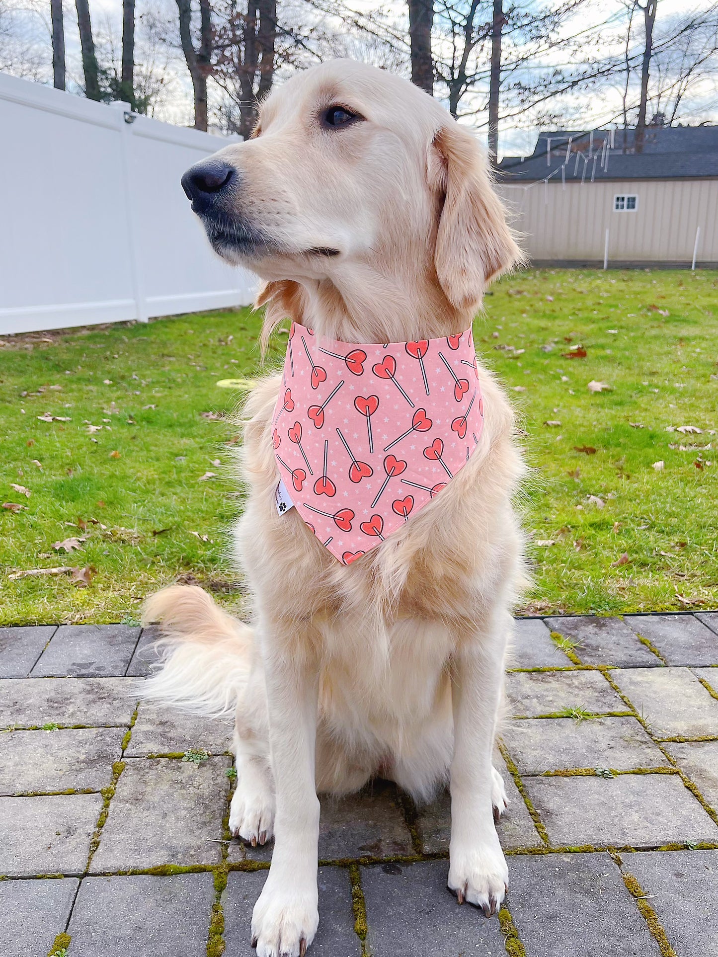 Yummy Treats And Heart Lollipops Bandana