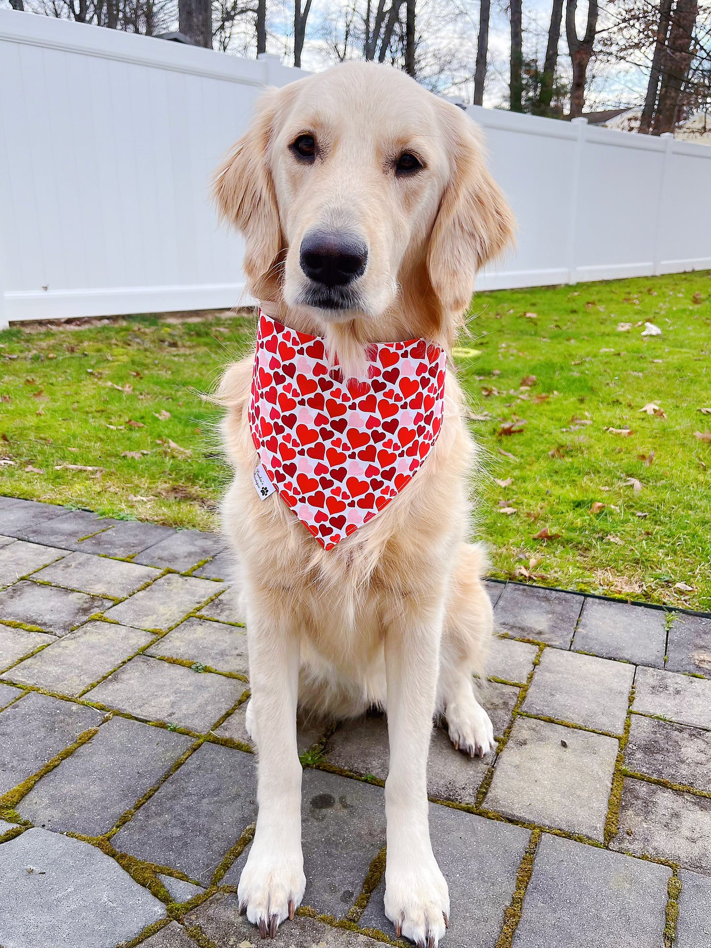 Valentine Teddy Bears And Hearts Bandana