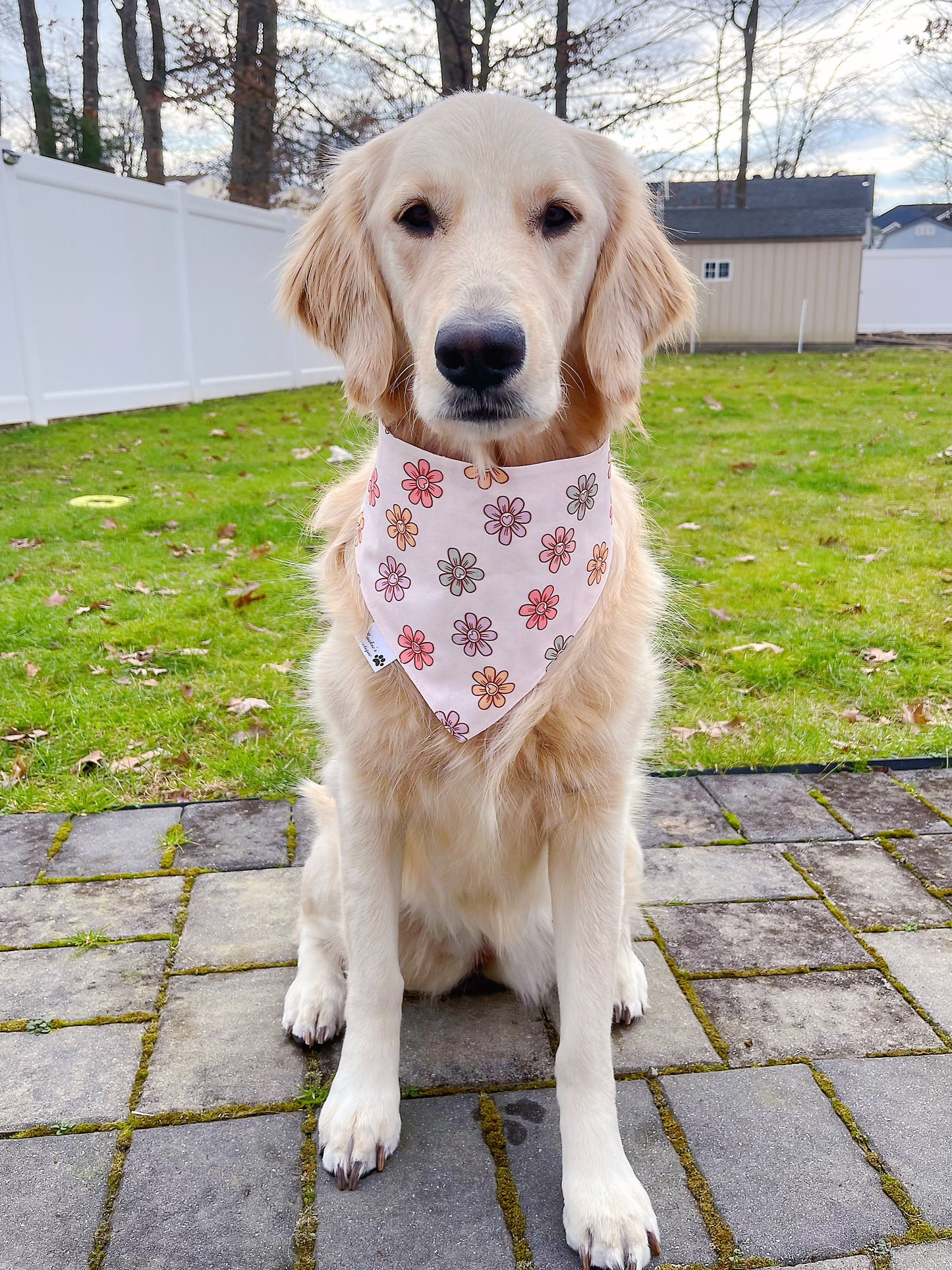 Valentine Winnie the Pooh Bandana