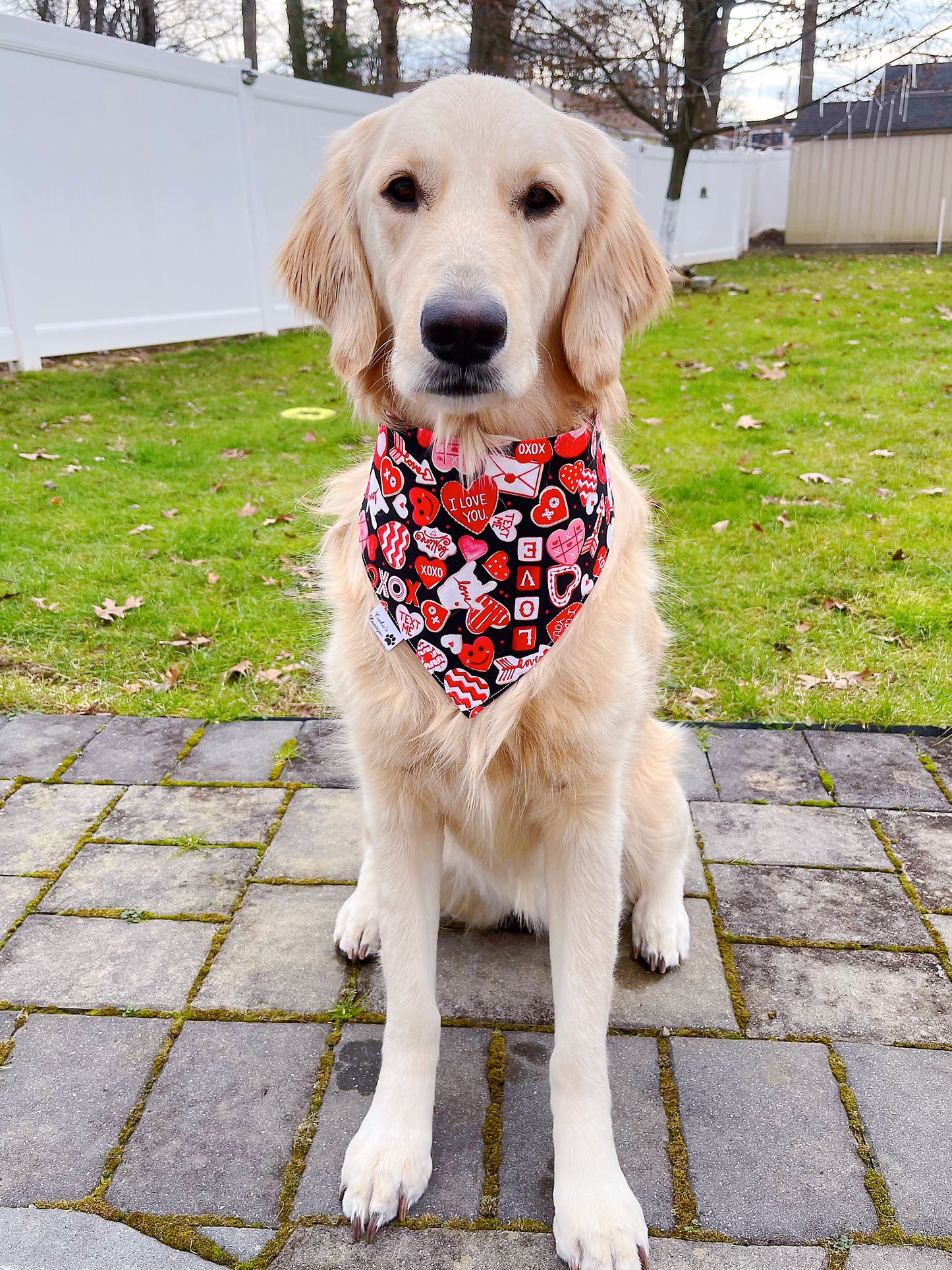 Leopard Hearts And Love Frosted Cookies Bandana