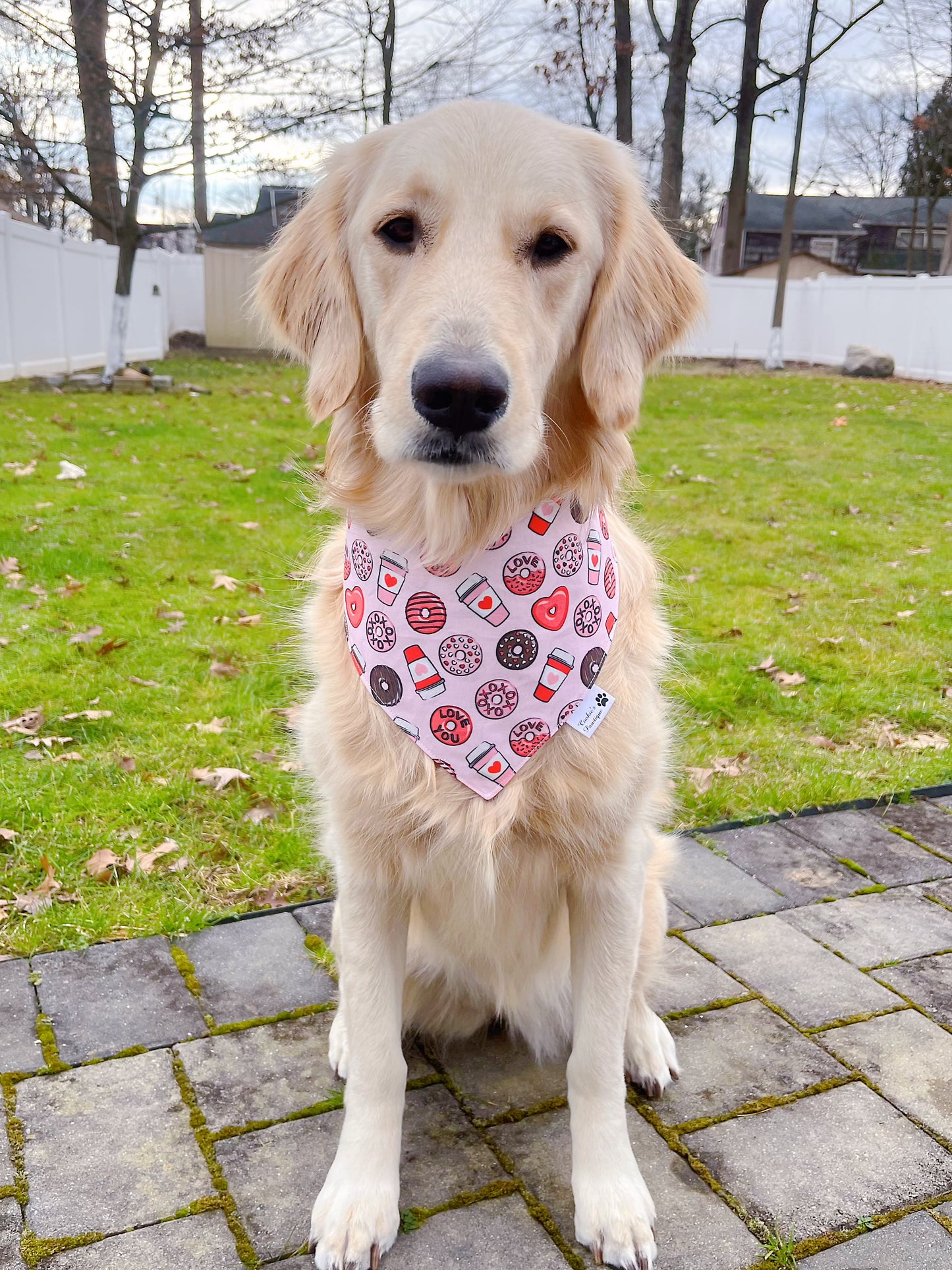 Donuts Coffee And Macarons Bandana