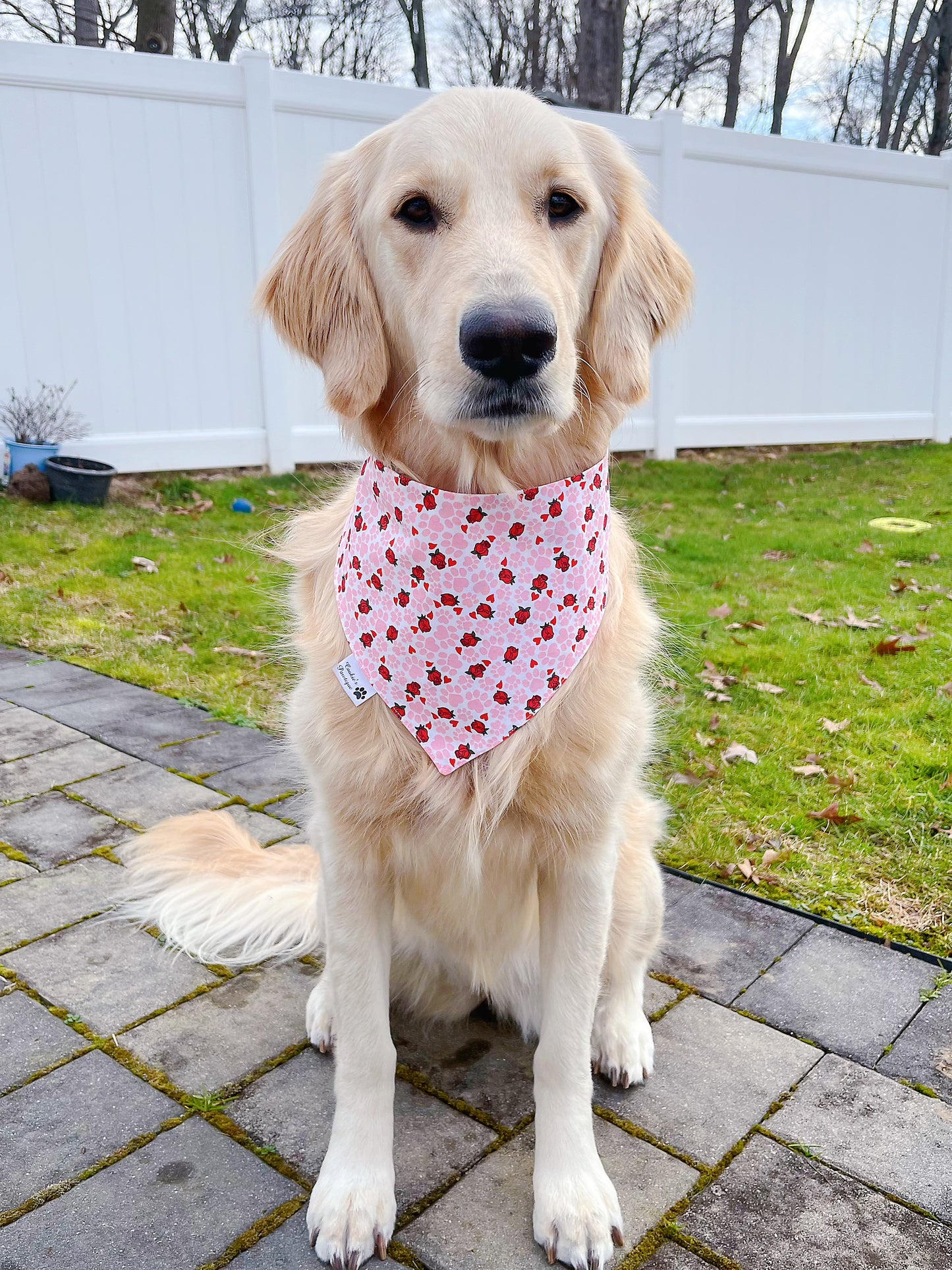 Valentine Cards And Roses Bandana