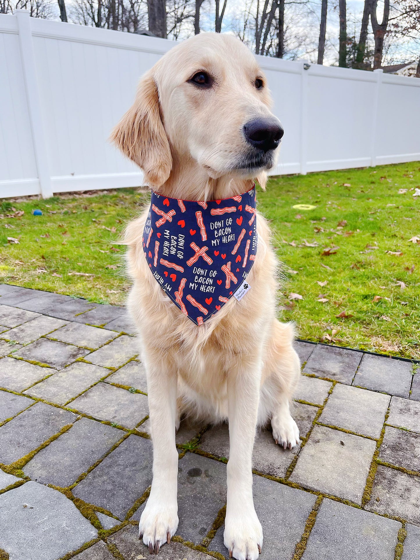 Don't Go Bacon My Heart Bandana