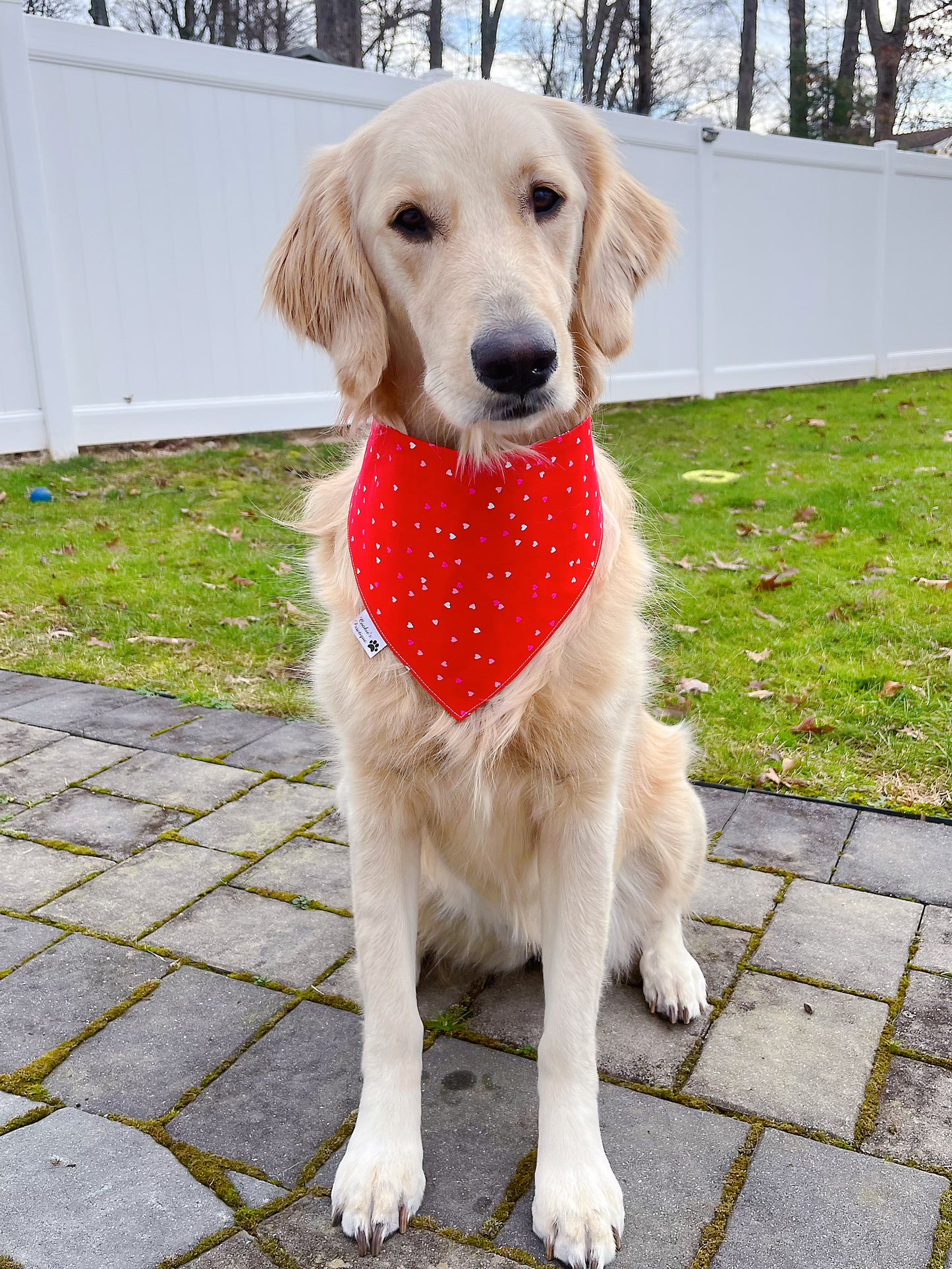Don't Go Bacon My Heart Bandana