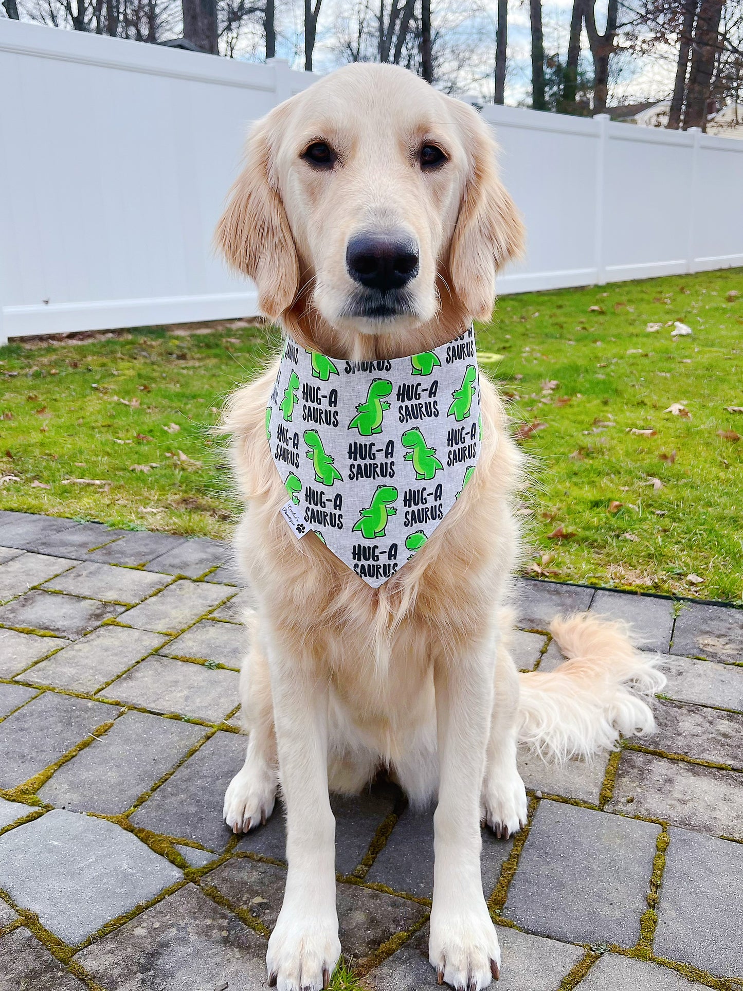 Dino-tine Bandana