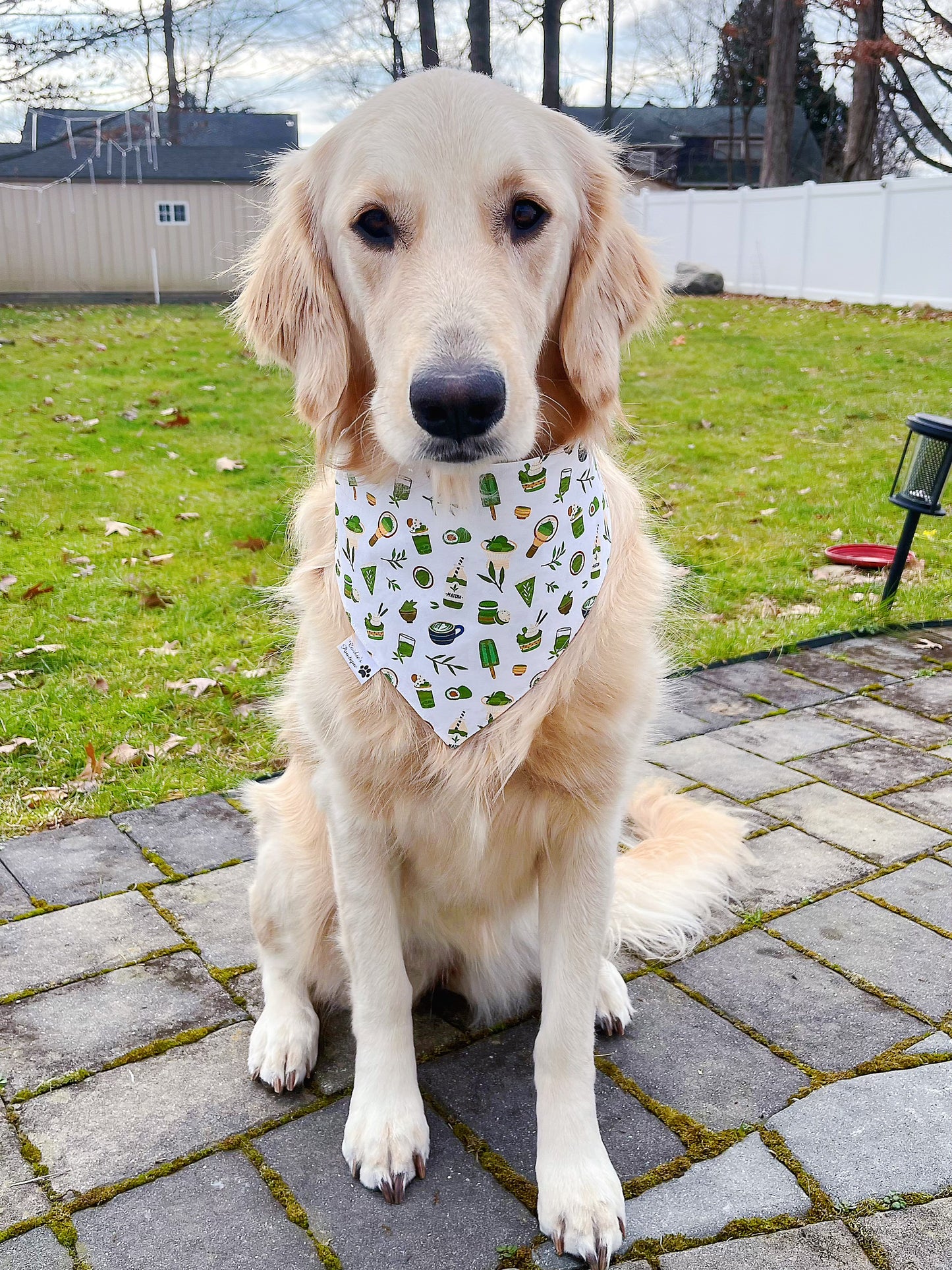 Love You So Matcha Bandana