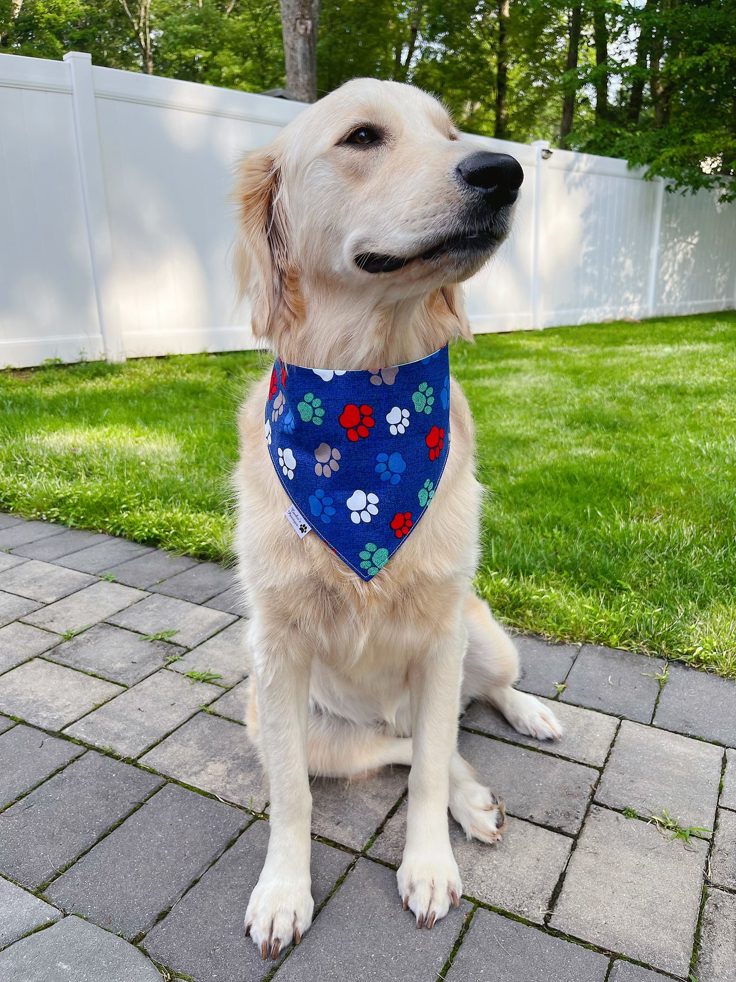 World's Cutest Dog Ribbon Bandana