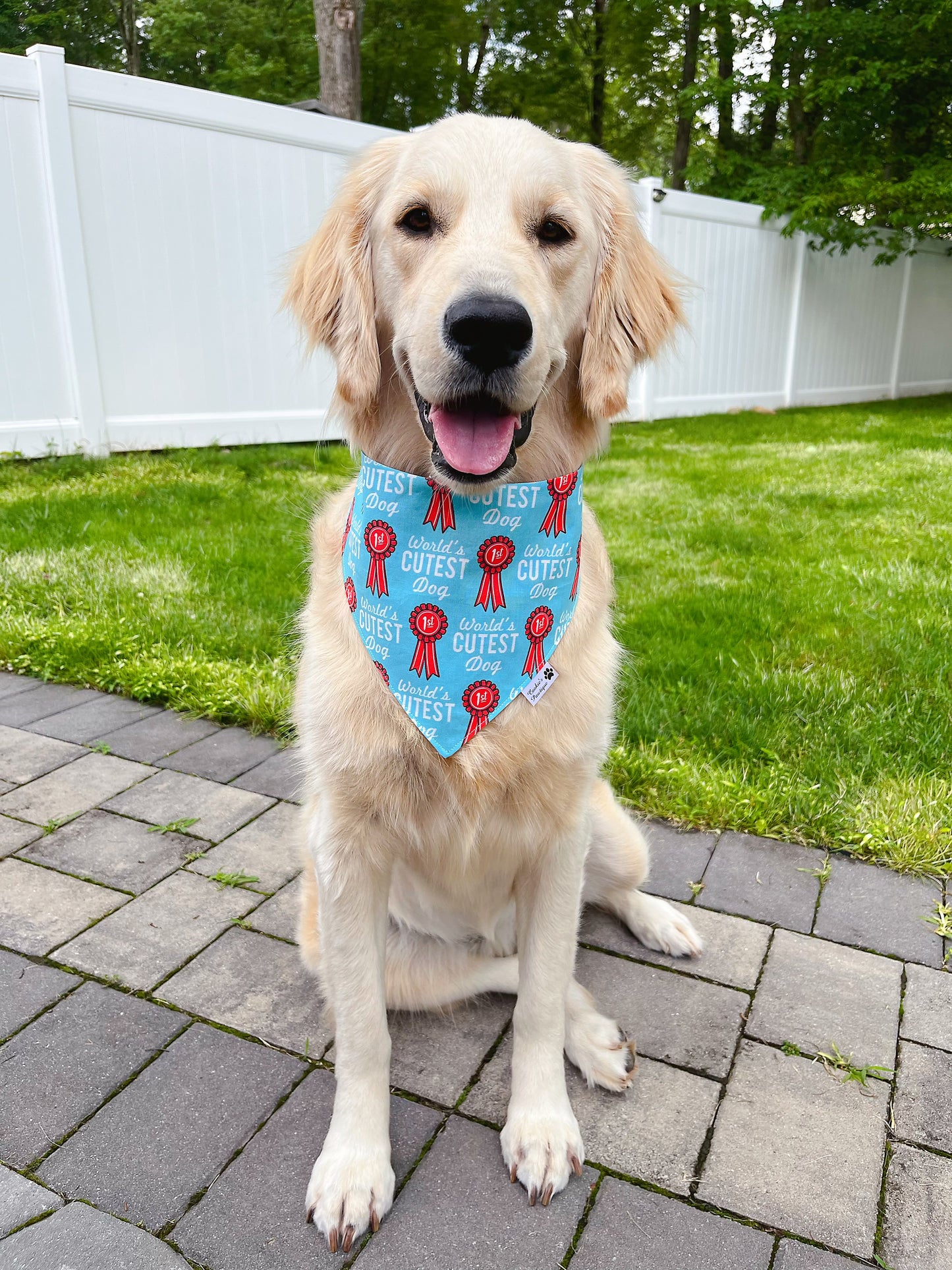 World's Cutest Dog Ribbon Bandana