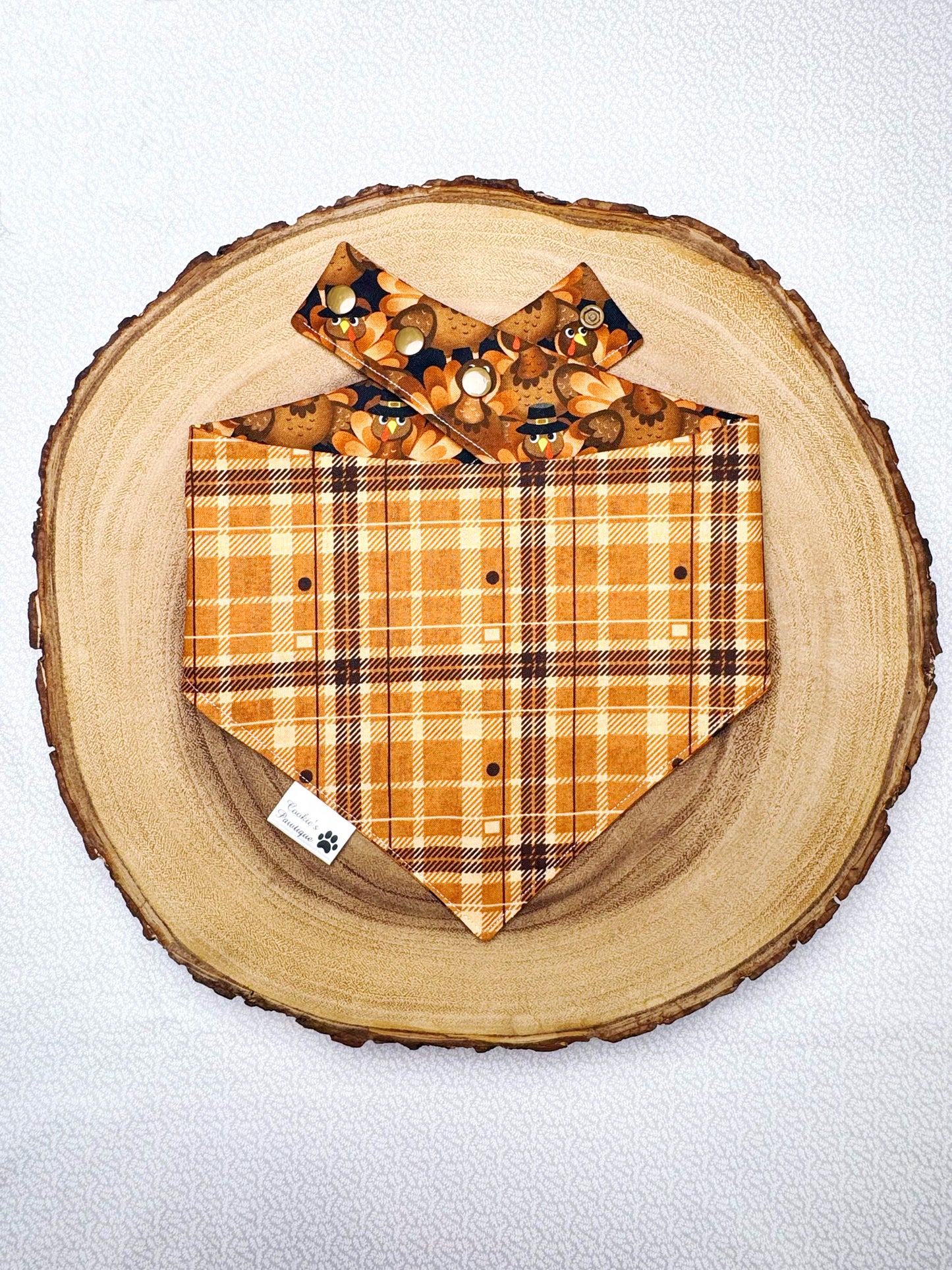 Turkeys and Plaid Bandana