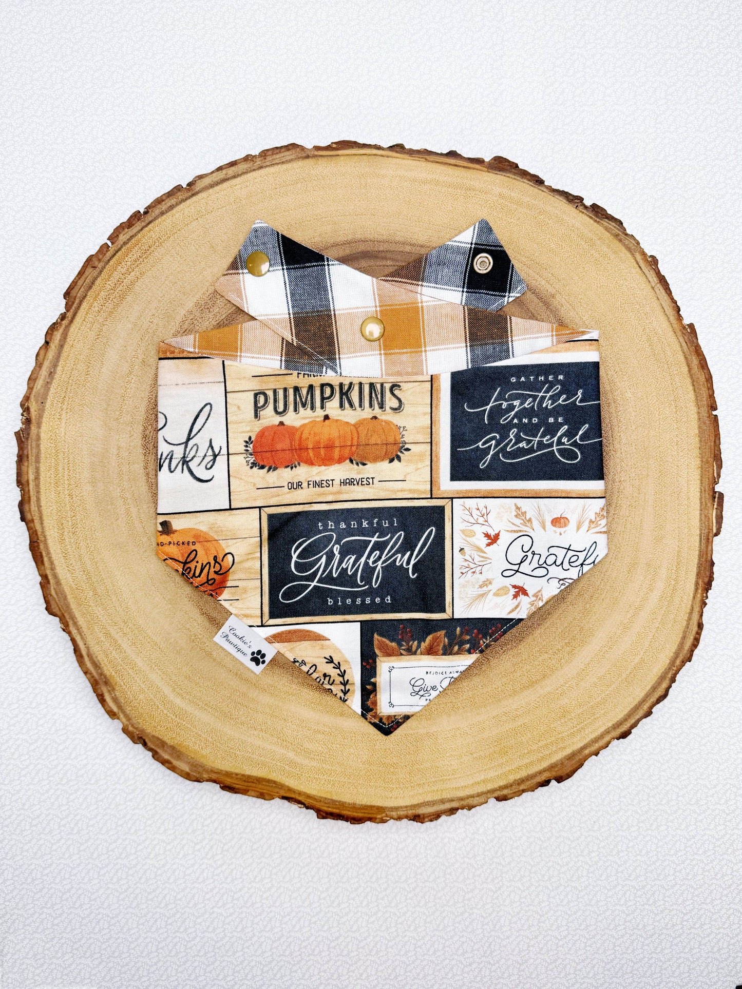 Thanksgiving Words and Fall Plaid Bandana