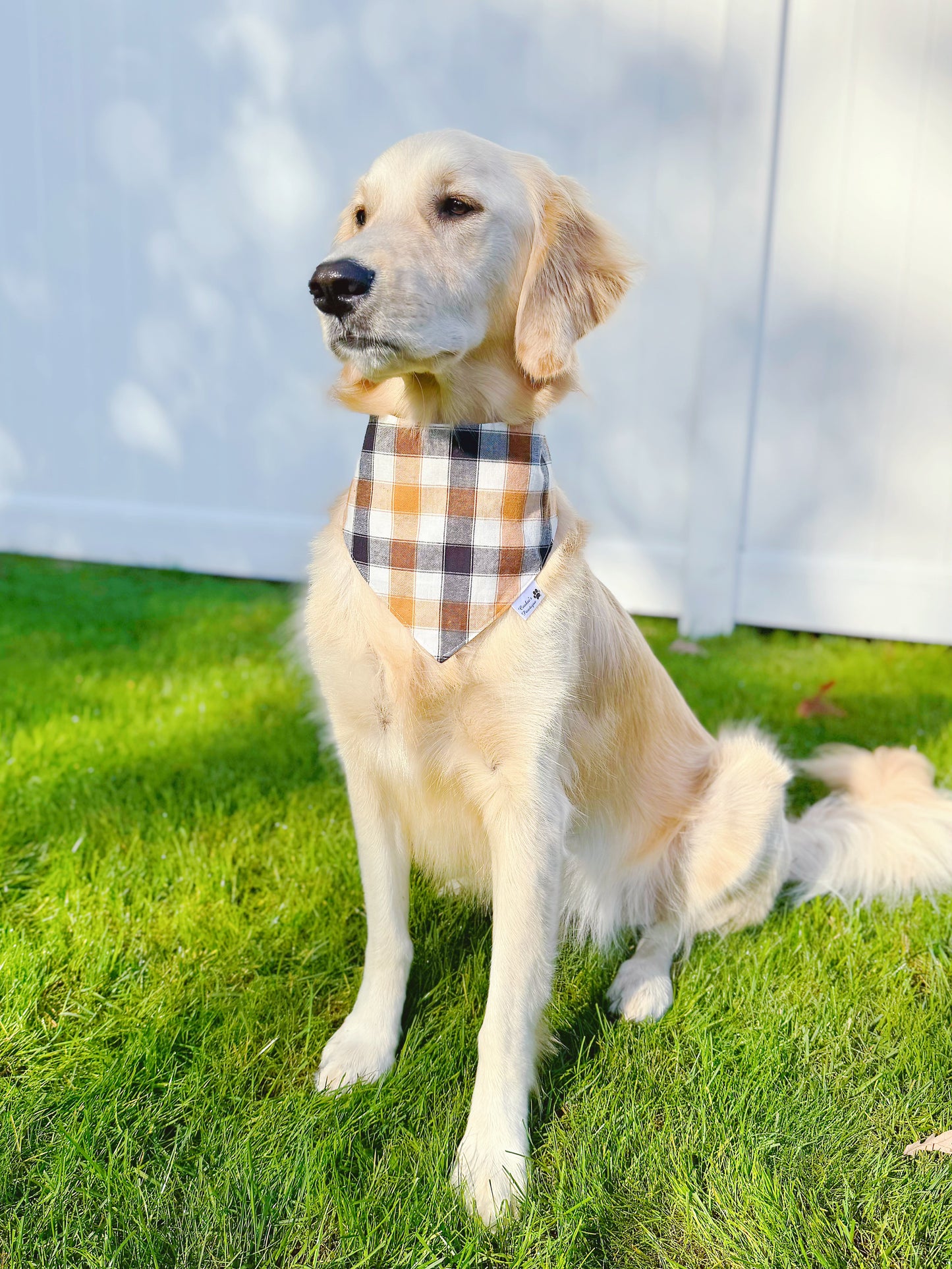 Thanksgiving Words and Fall Plaid Bandana