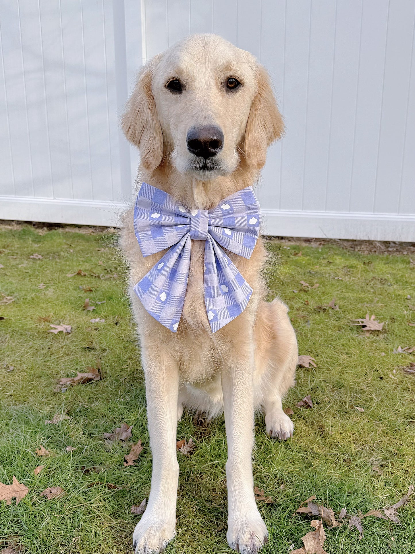 Bunnies On Purple Plaid Bow
