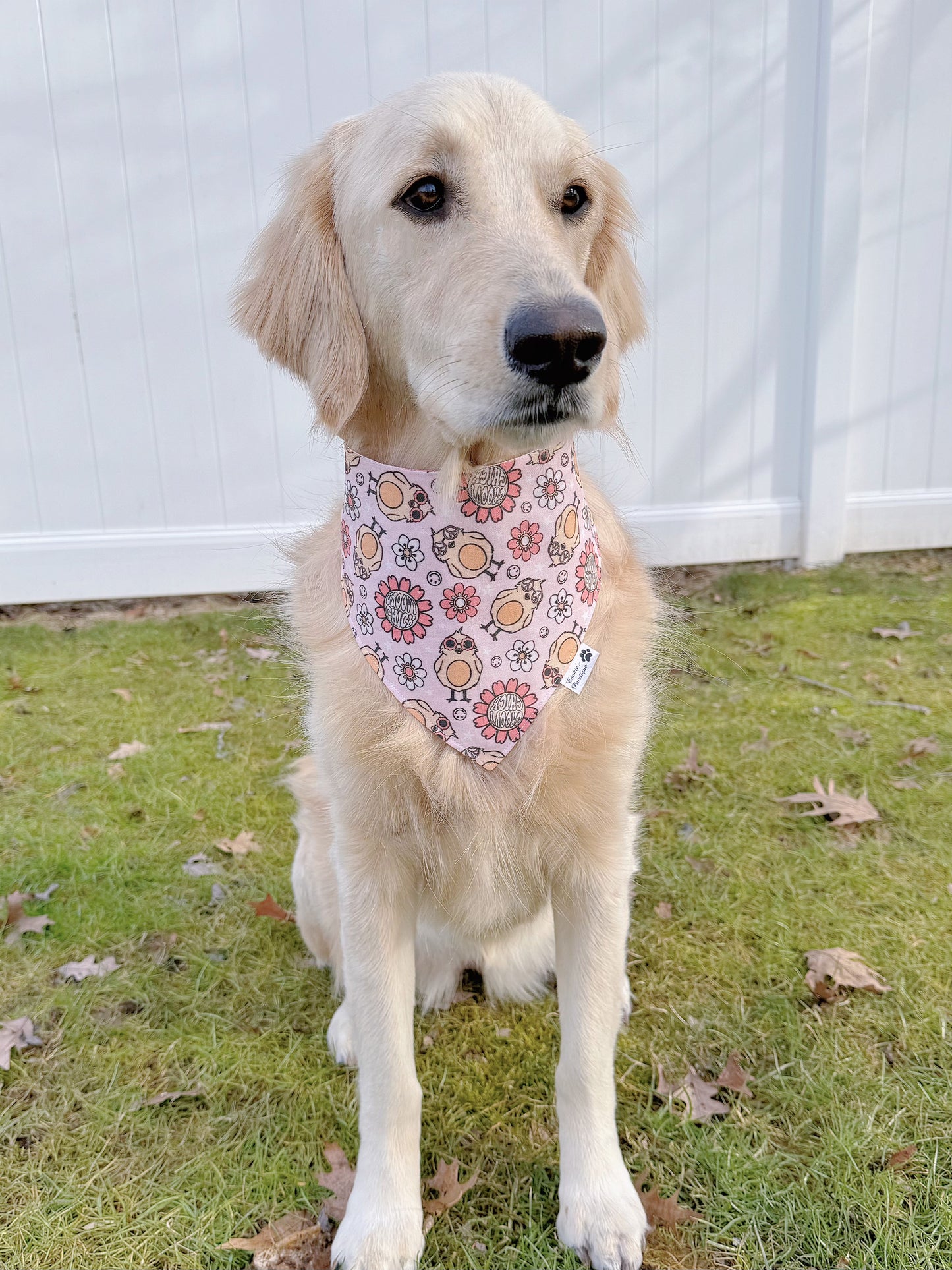 Easter Groovy Chicks And Plaid Bandana