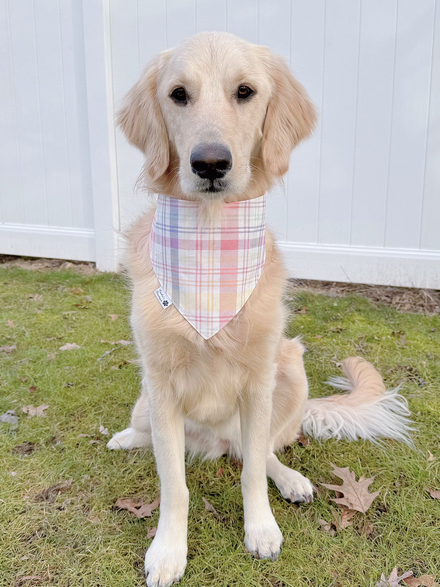 Easter Groovy Chicks And Plaid Bandana