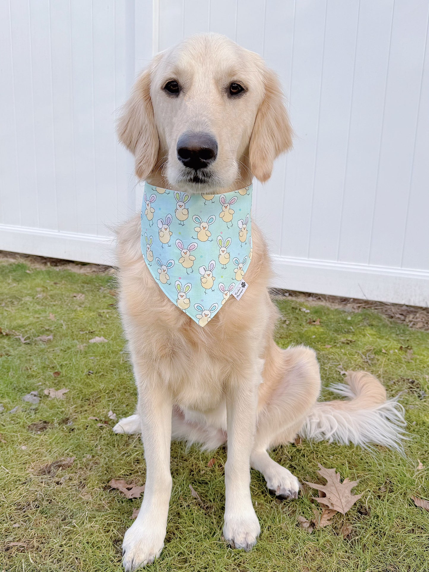 Chicks On Bunny Ears And Pastel Bunnies Bandana