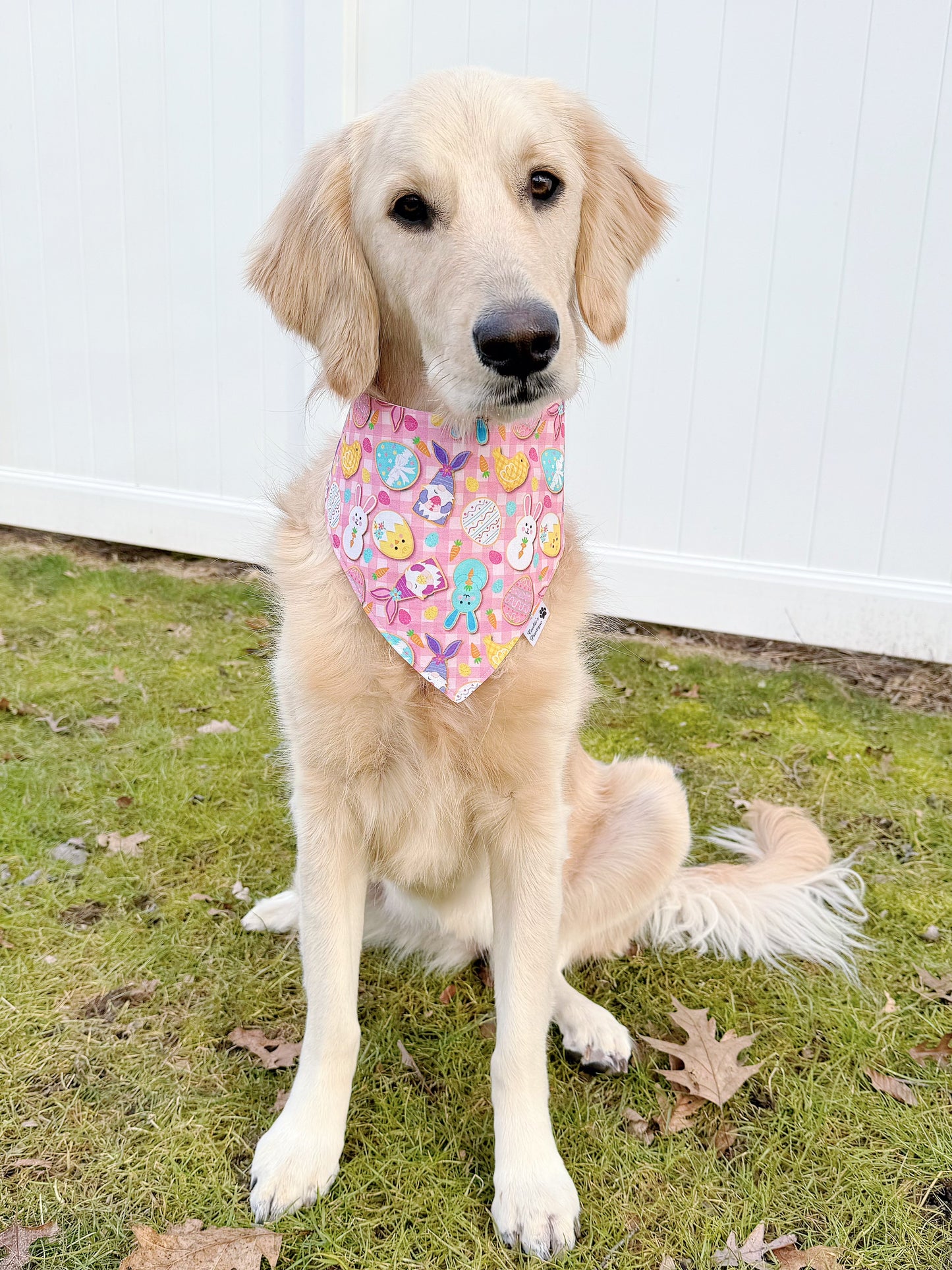 Easter Cookies And Pastel Tie Dye Eggs Bandana
