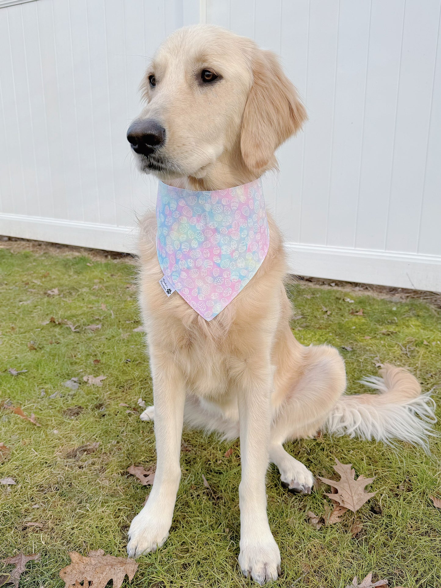 Easter Cookies And Pastel Tie Dye Eggs Bandana