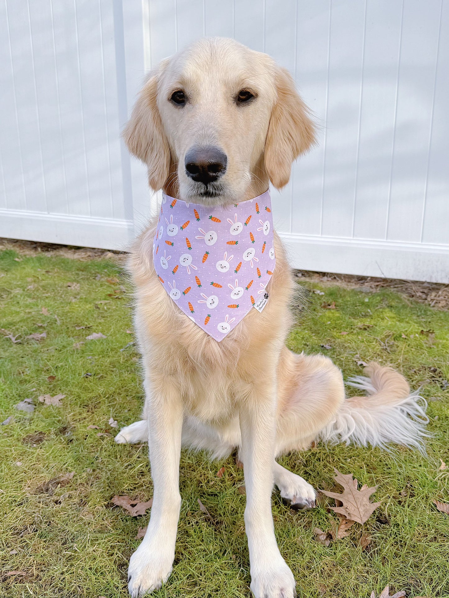 Easter Bunnies And Purple Gingham Bandana