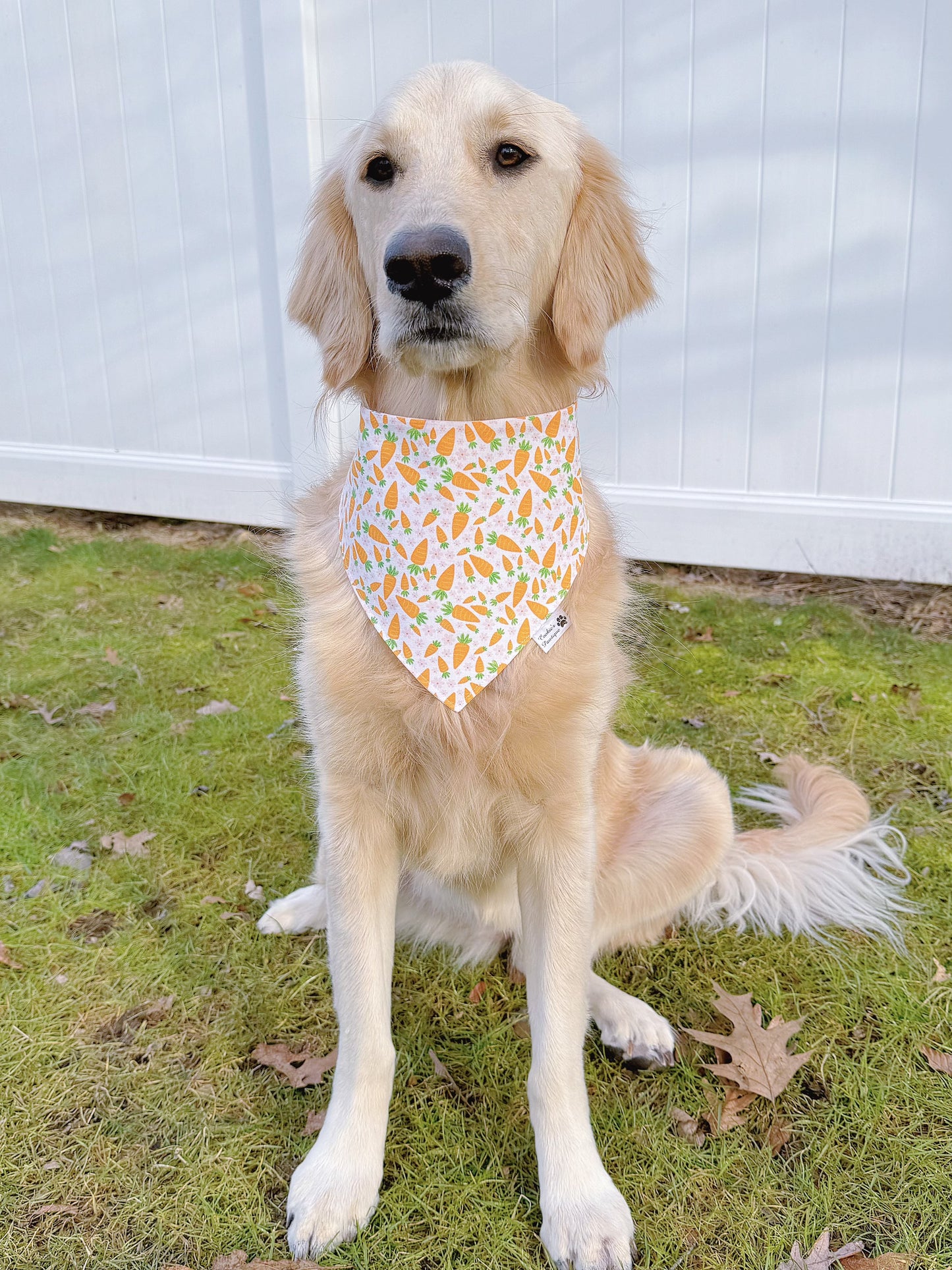 Easter Carrots And Pink Bunny Ears Bandana