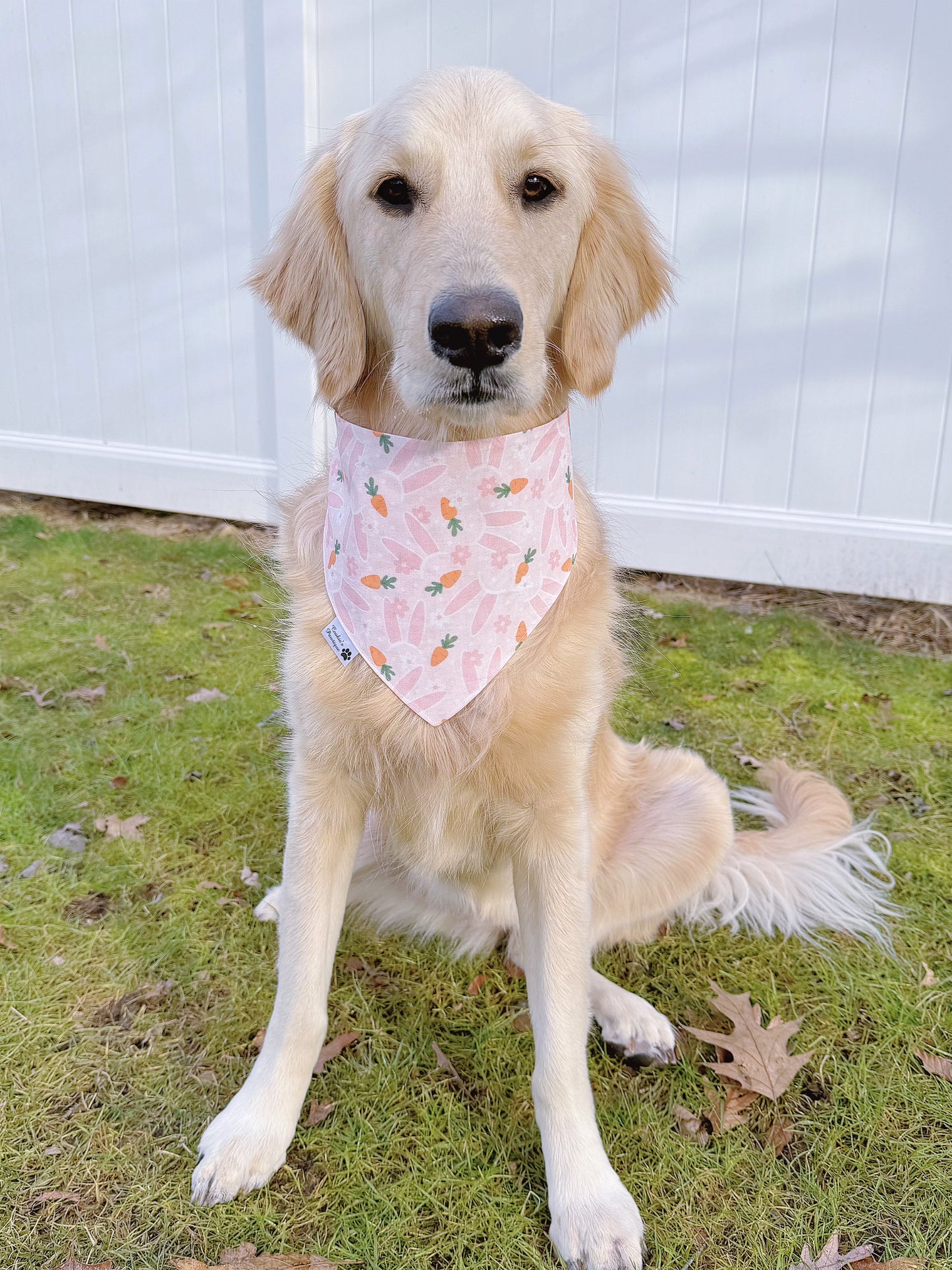 Easter Carrots And Pink Bunny Ears Bandana