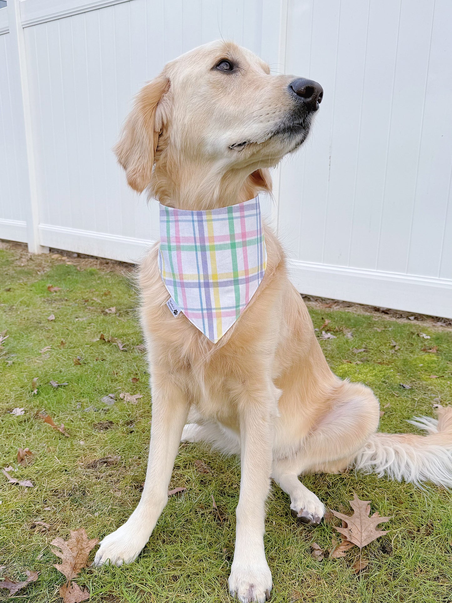 Pastel Easter And Plaid Bandana
