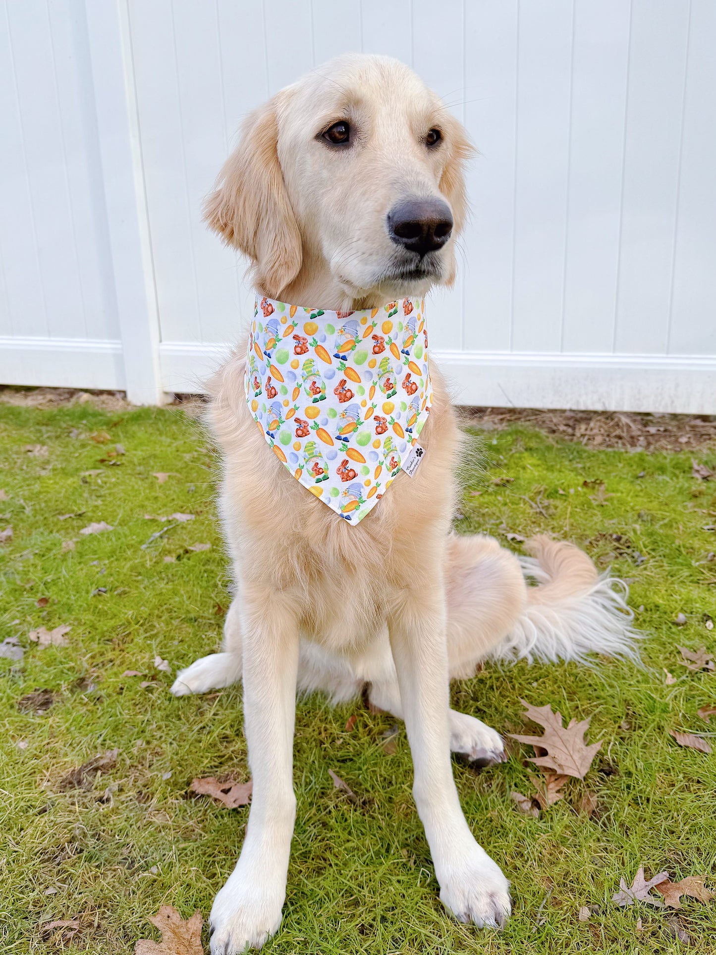 Easter Gnomes Garden Bandana