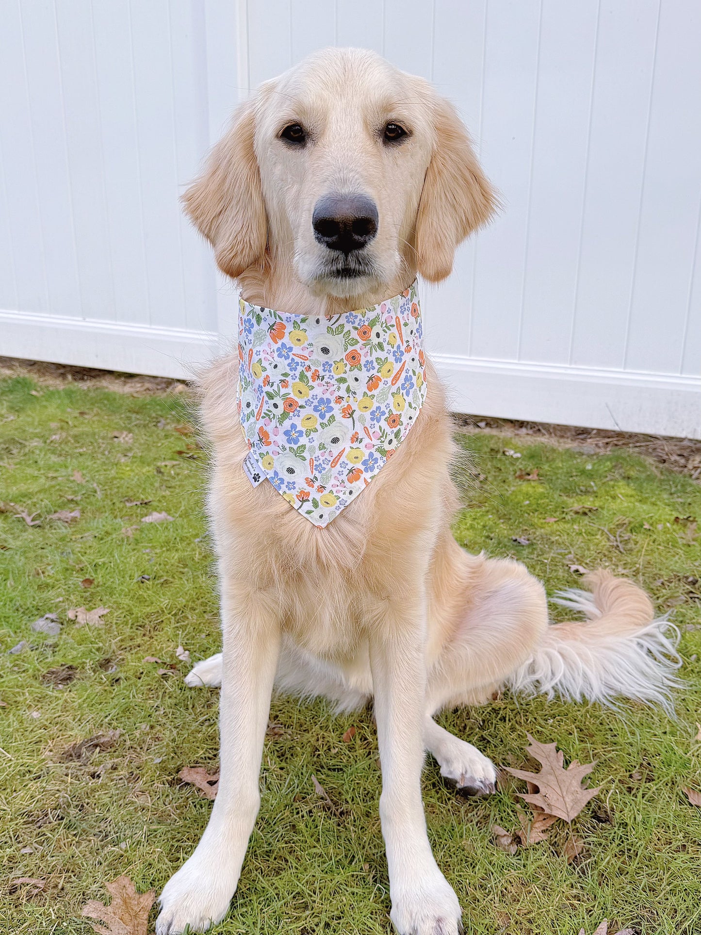 Easter Gnomes Garden Bandana