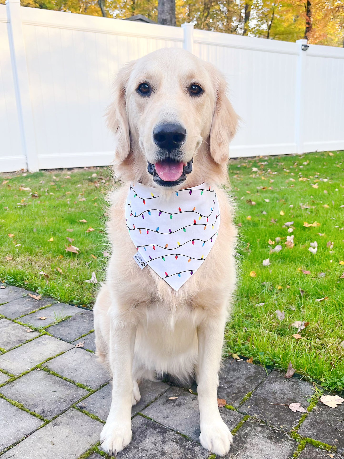 Merry and Bright Bandana