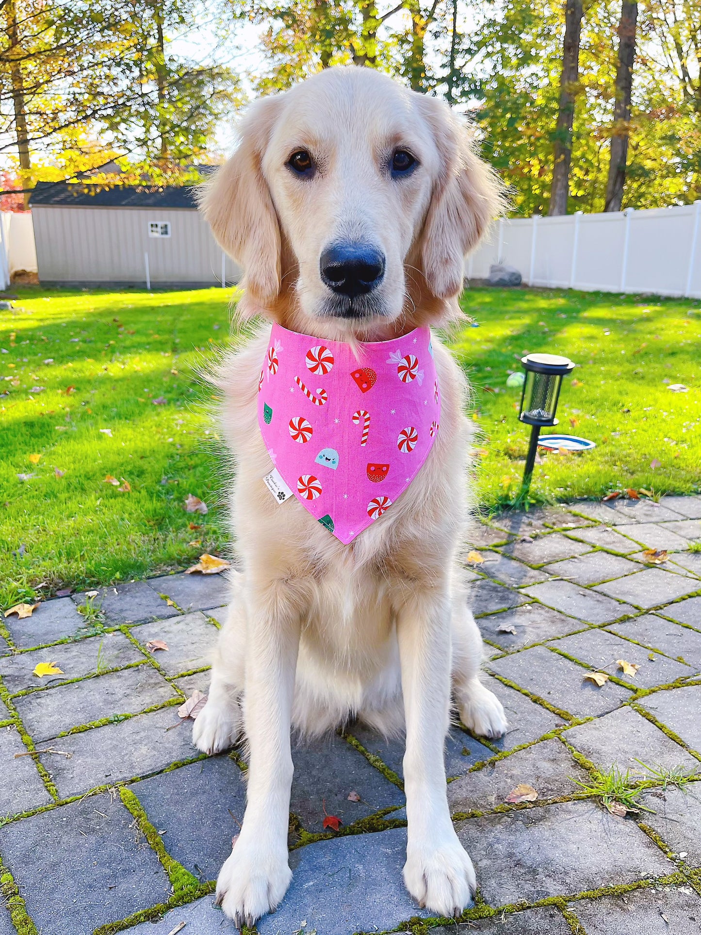 Pink Christmas Bandana
