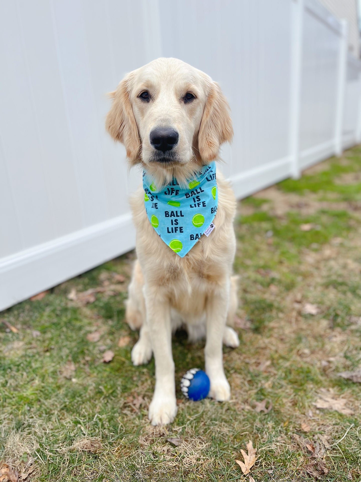 Ball Is Life Bandana - Blue