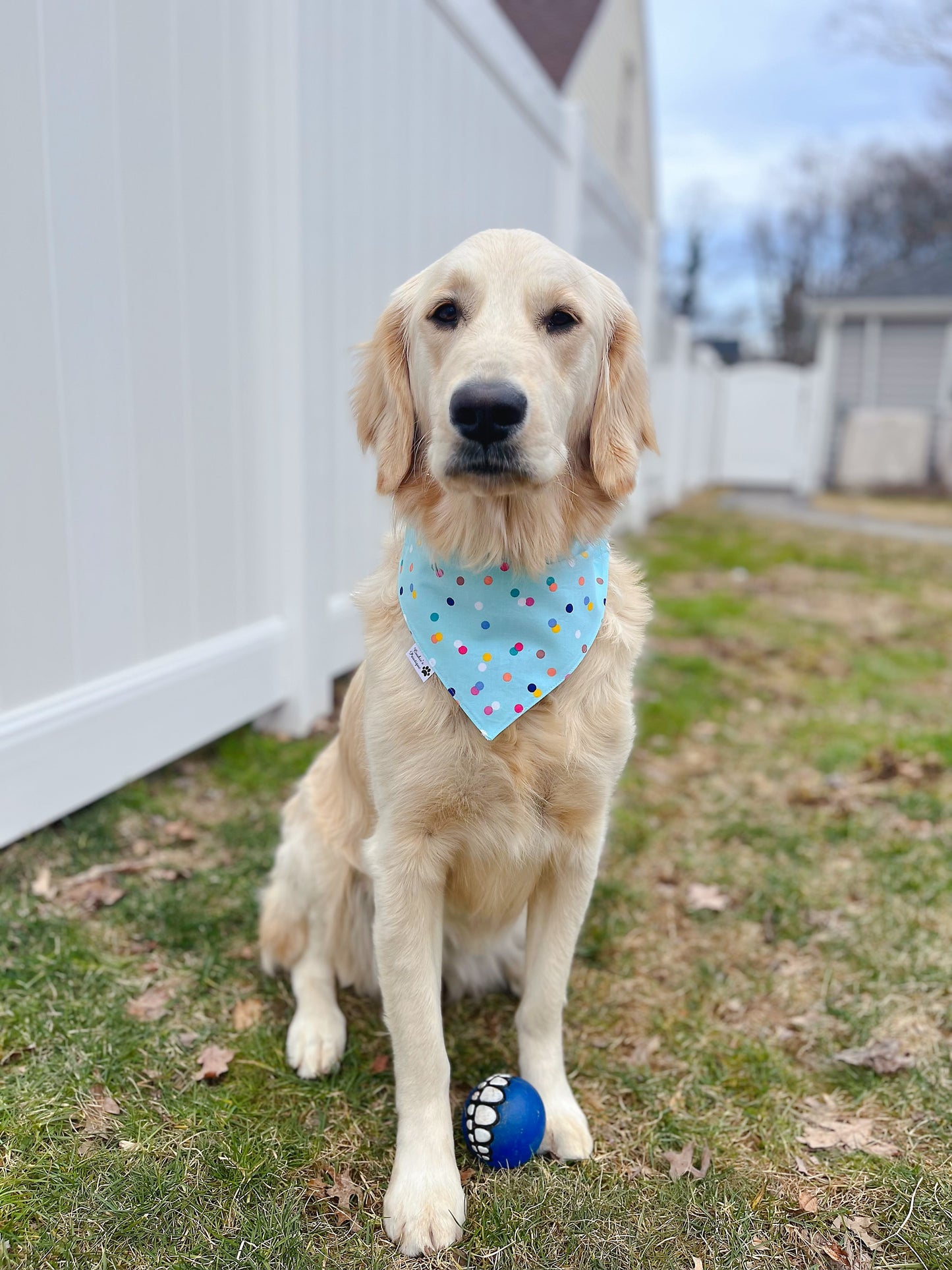Ball Is Life Bandana - Blue